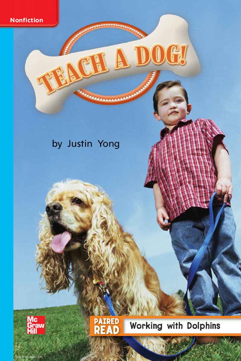 U4W5 Teach a Dog!