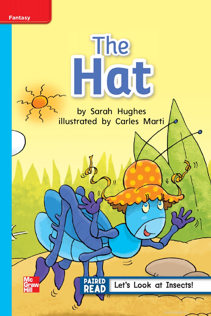 U4W4 The Hat