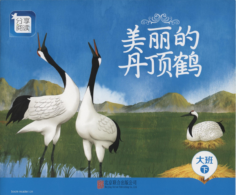 L08美丽的丹顶鹤 