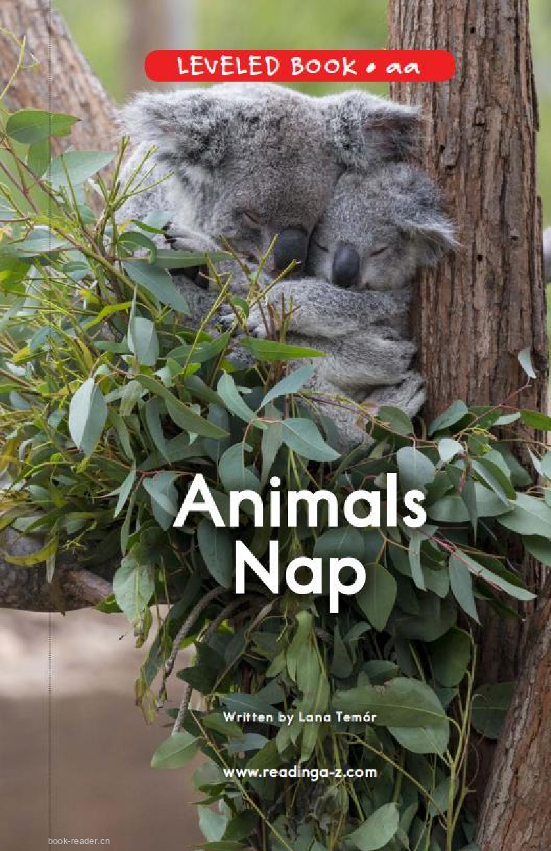 Animals Nap