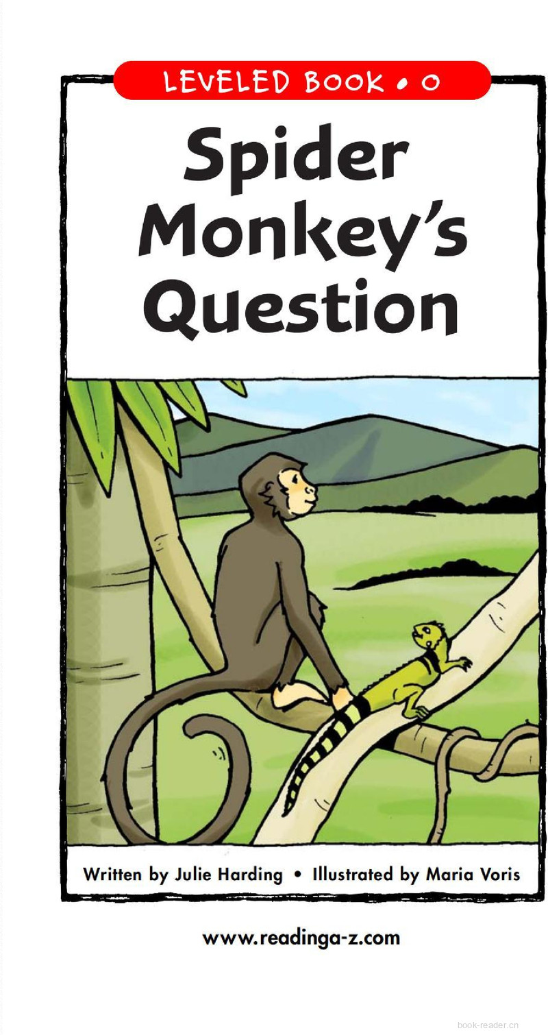Spider Monkey's Question