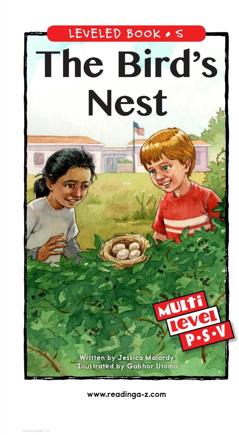 The Bird's Nest