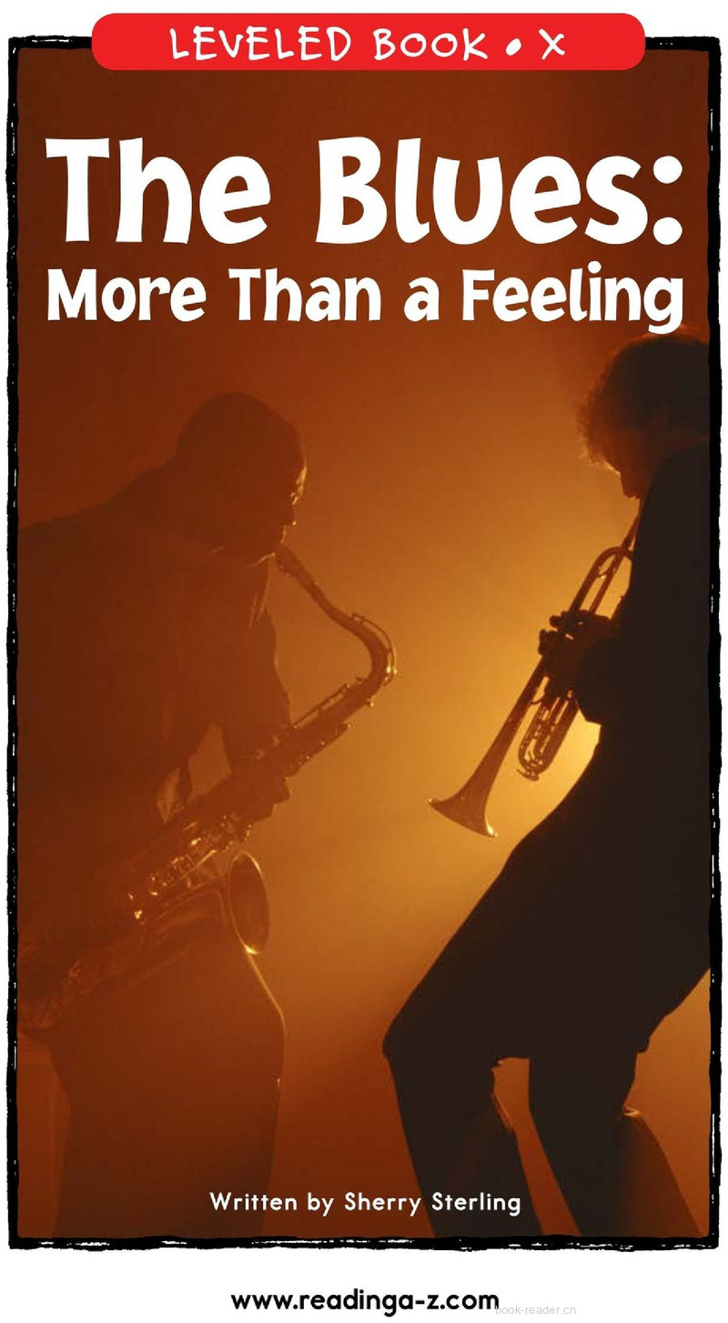 The Blues More Than A Feeling