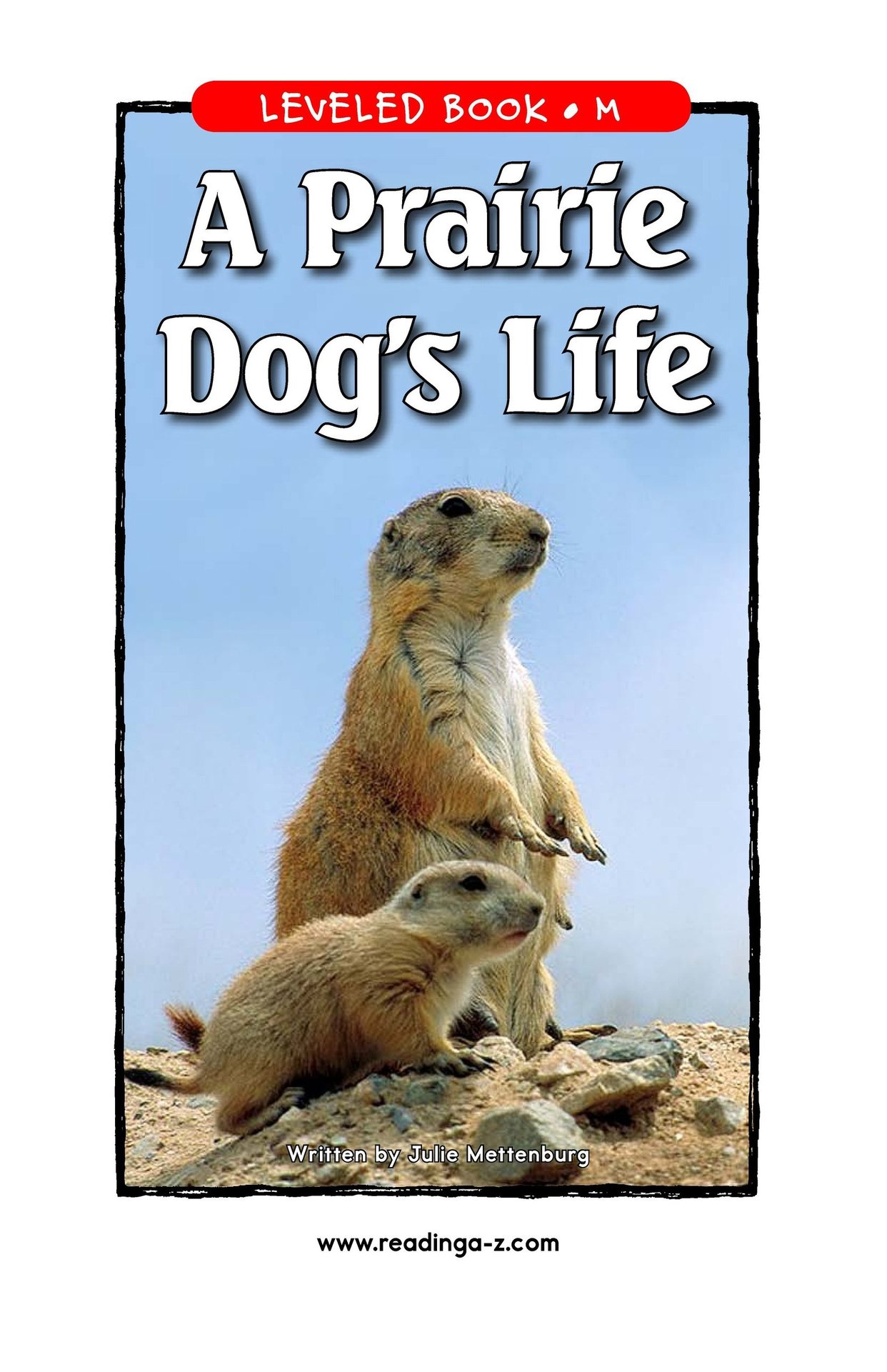 A Prairie Dog's Life