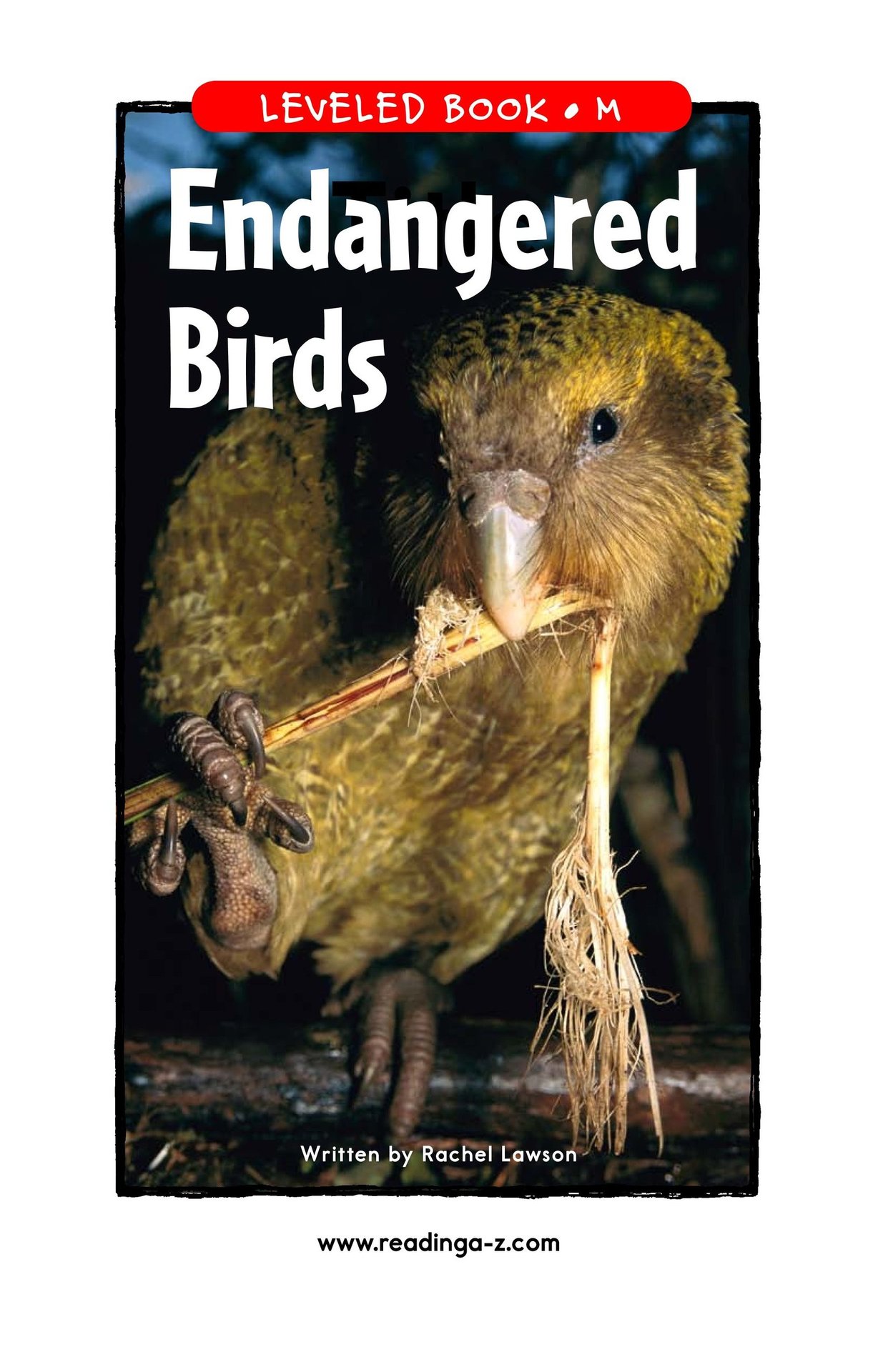Endangered Birds
