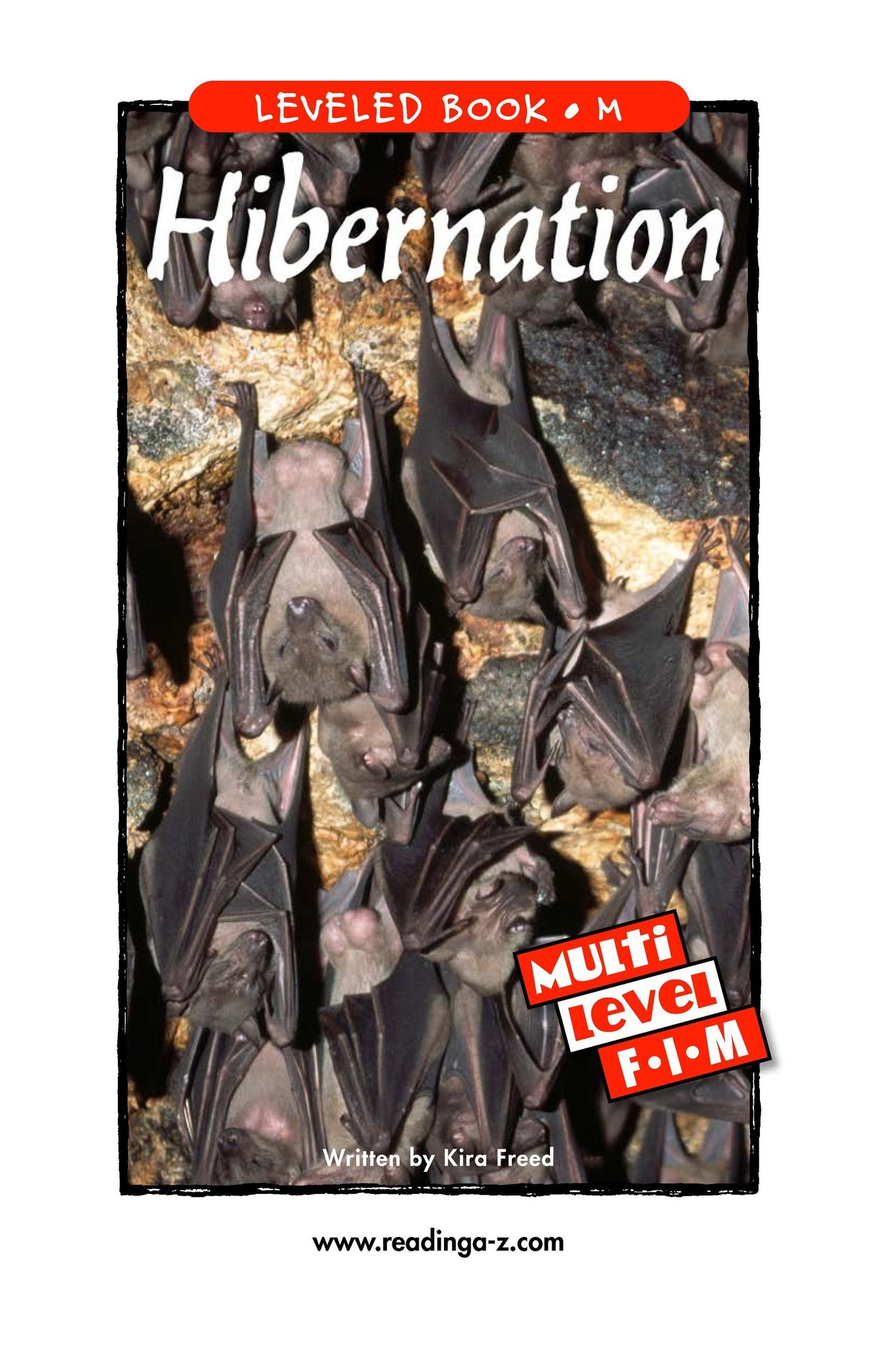 Hibernation