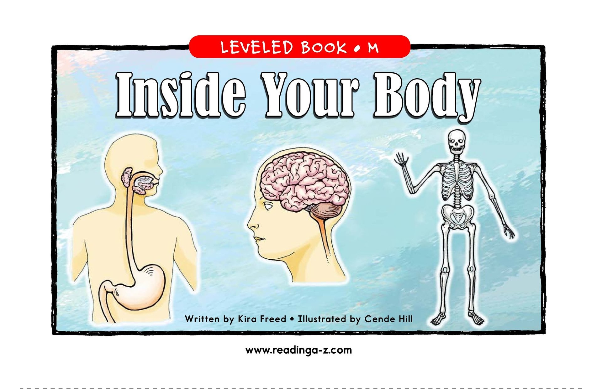 Inside Your Body
