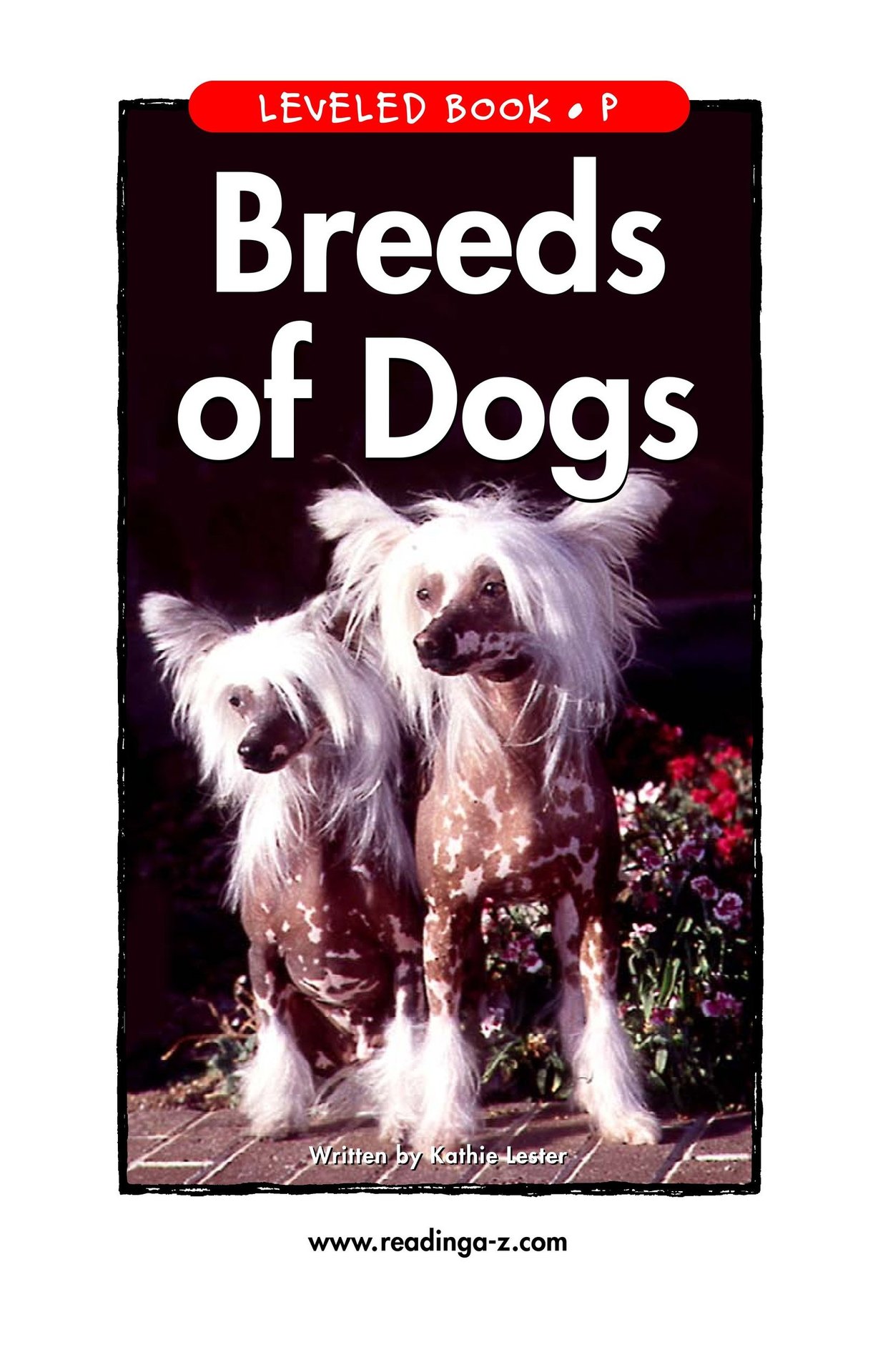 Breeds of Dogs