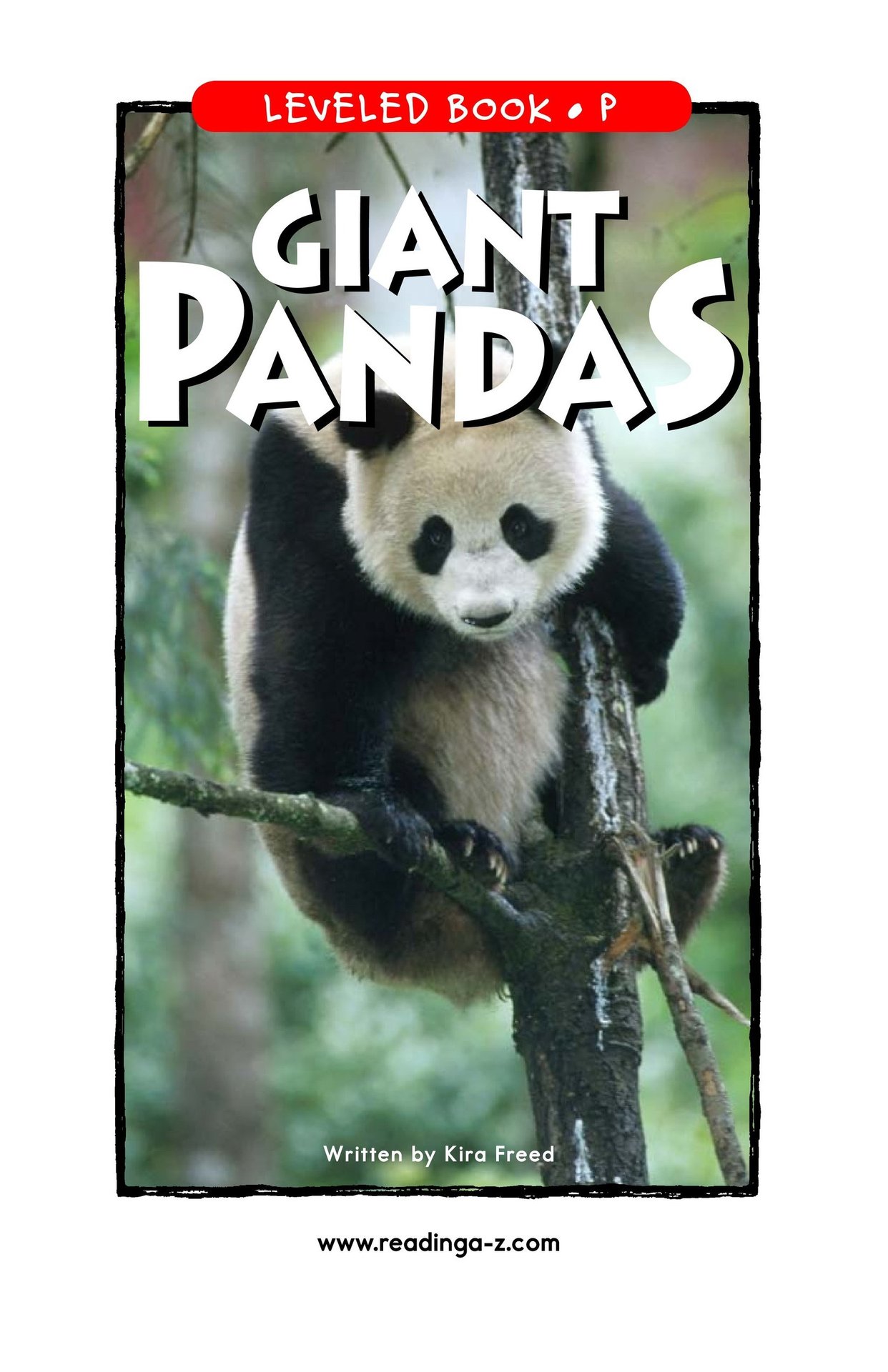 Giant Pandas