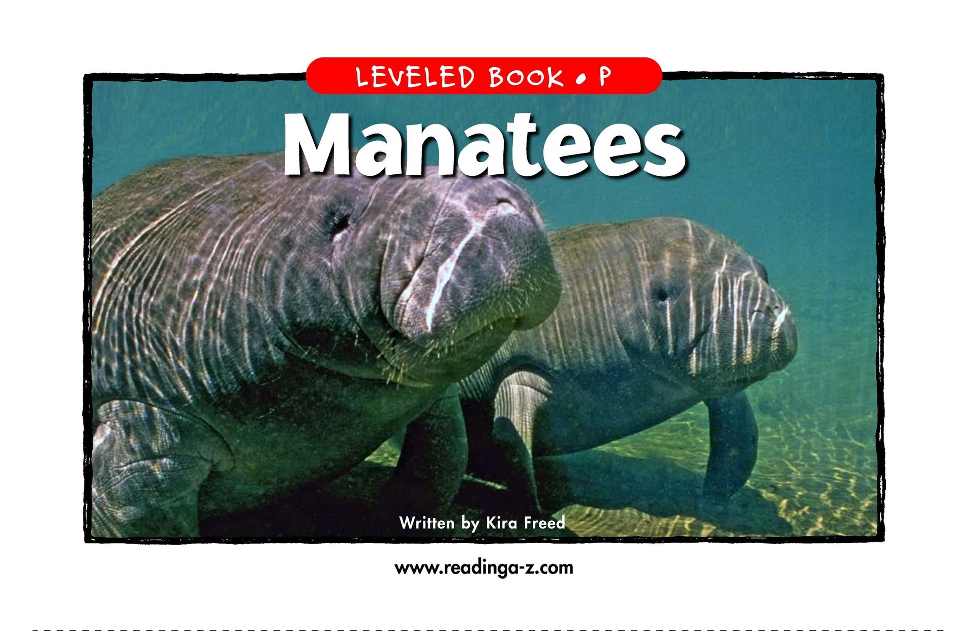 Manatees