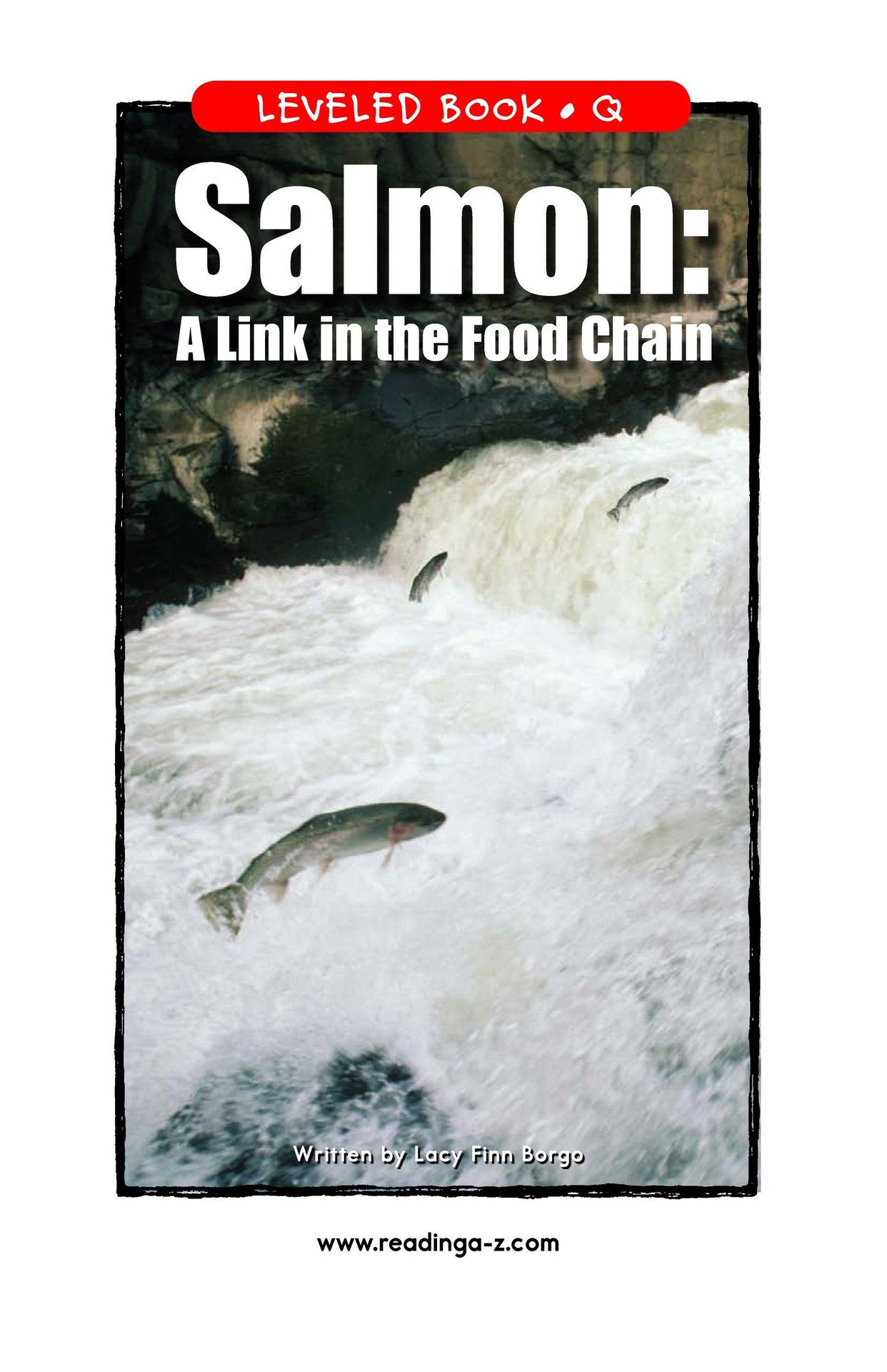 Salmon A Link in the Food Chain
