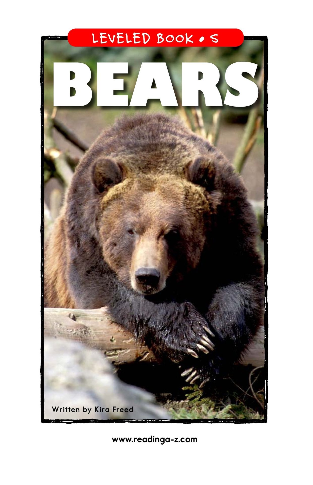 Bears