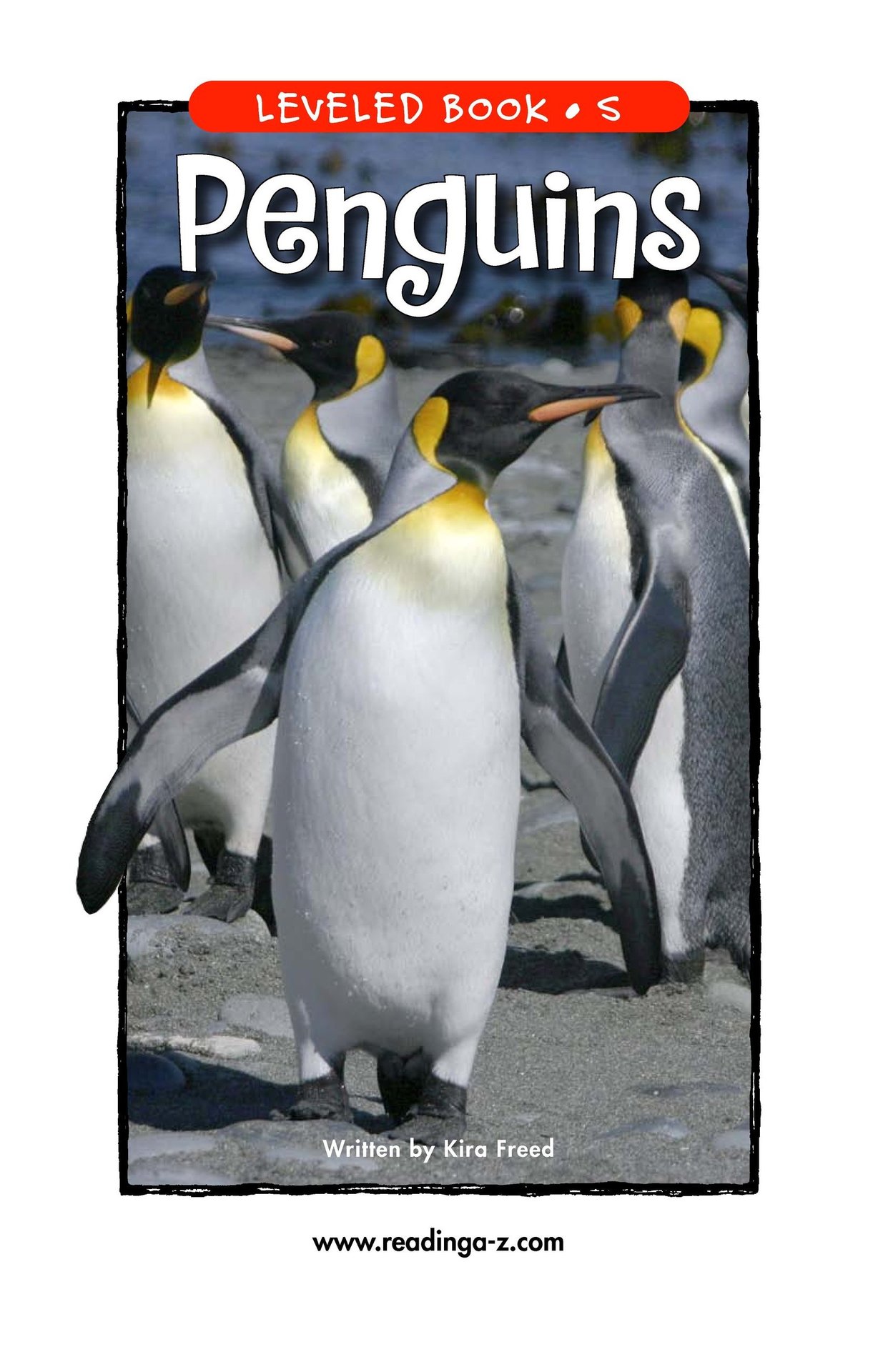 Penguins