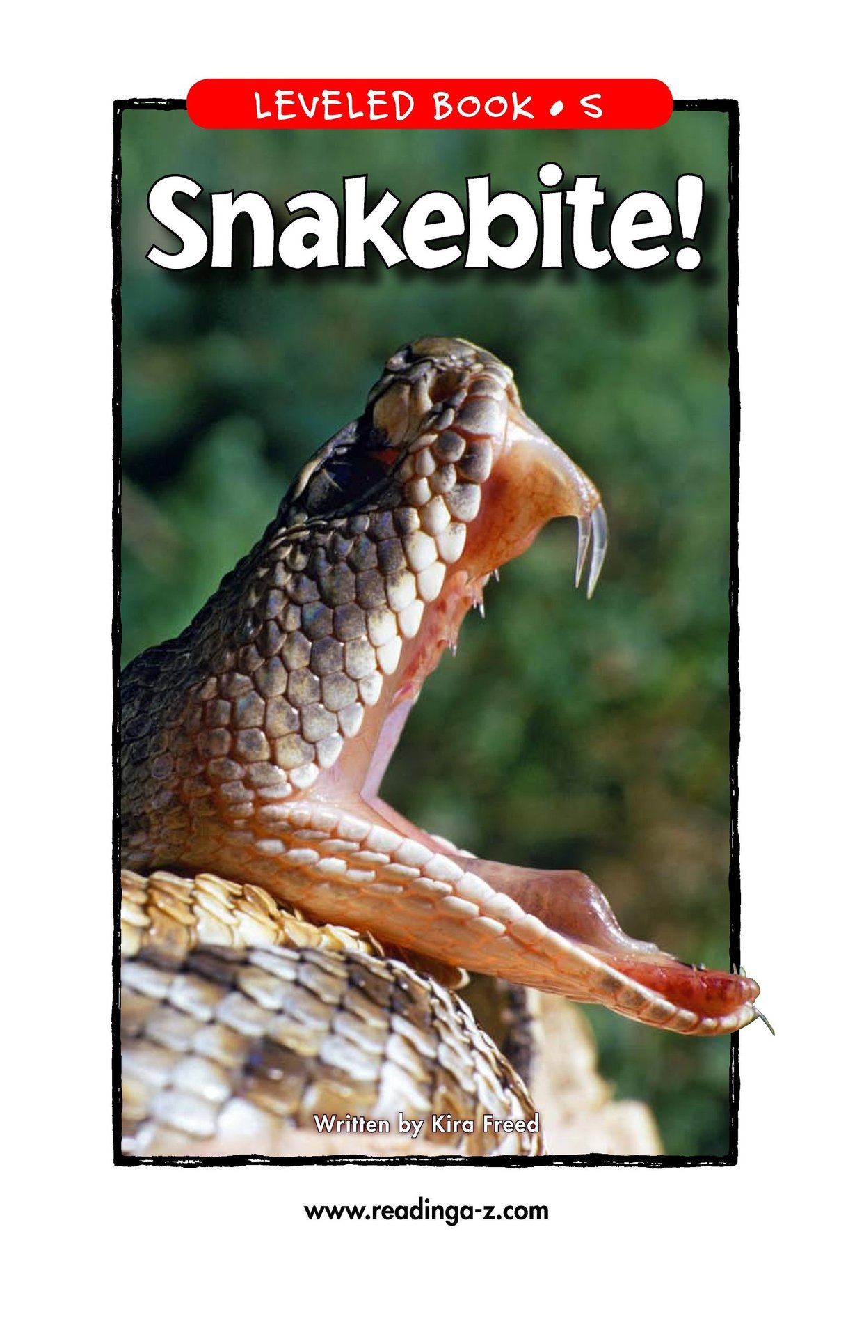 Snakebite!