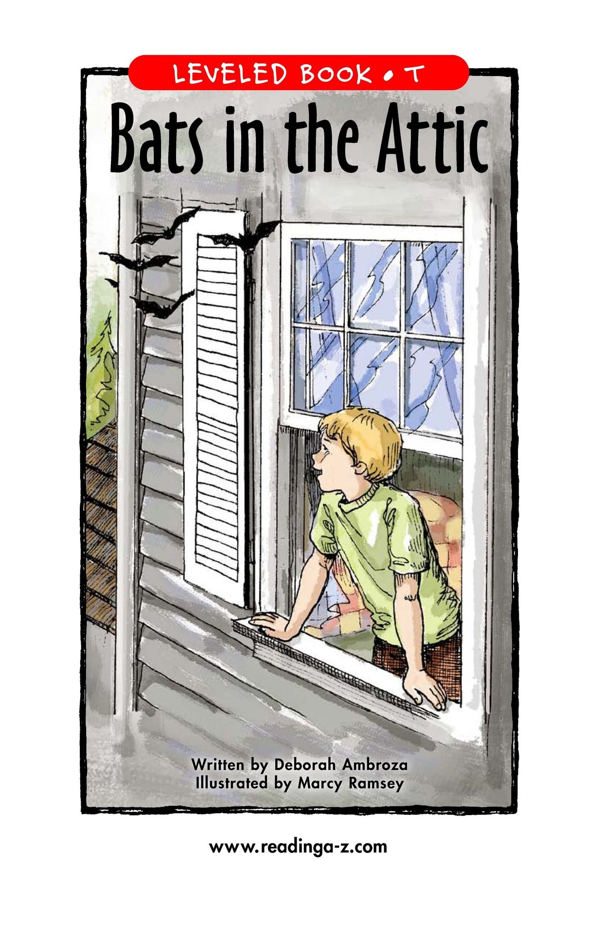 Bats in the Attic