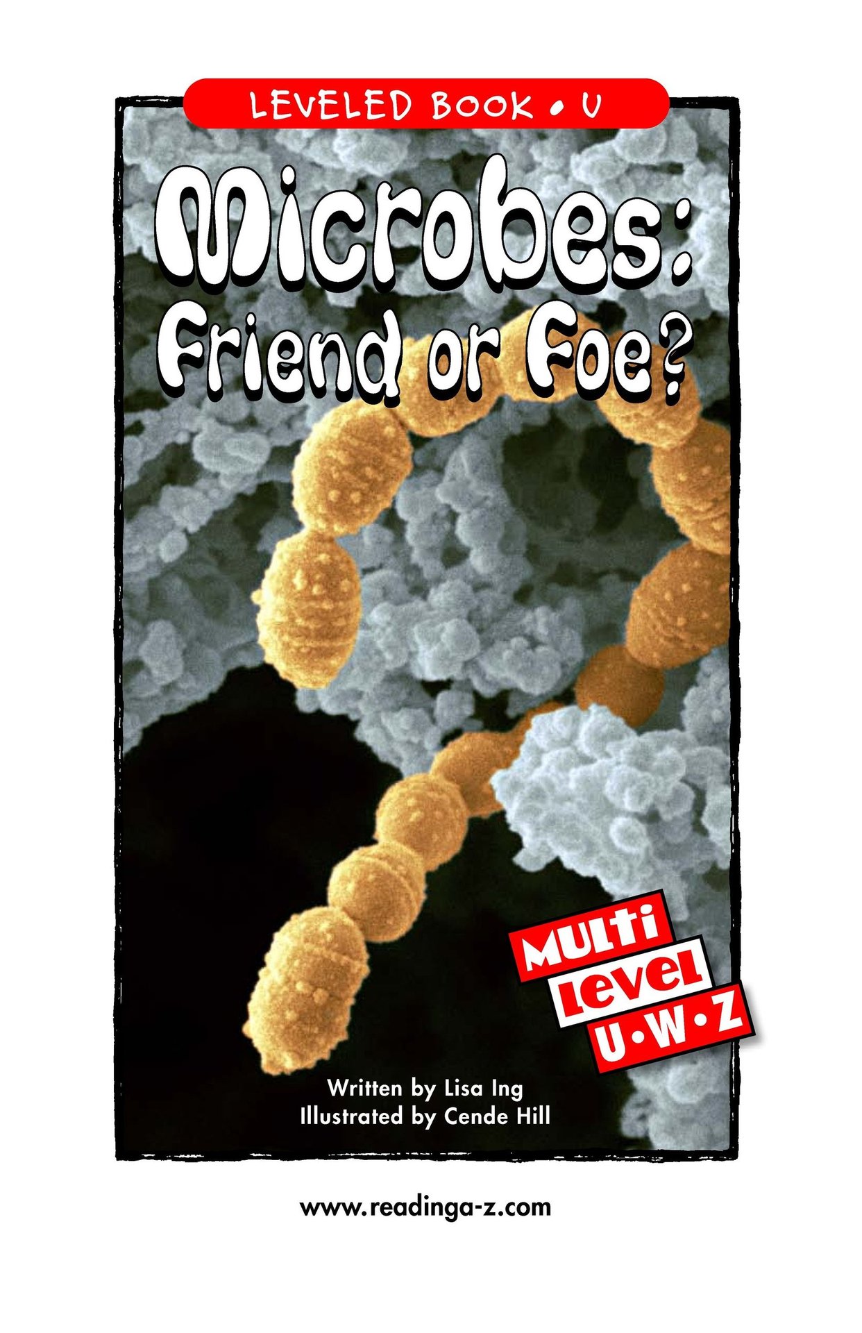 Microbes Friend or Foe