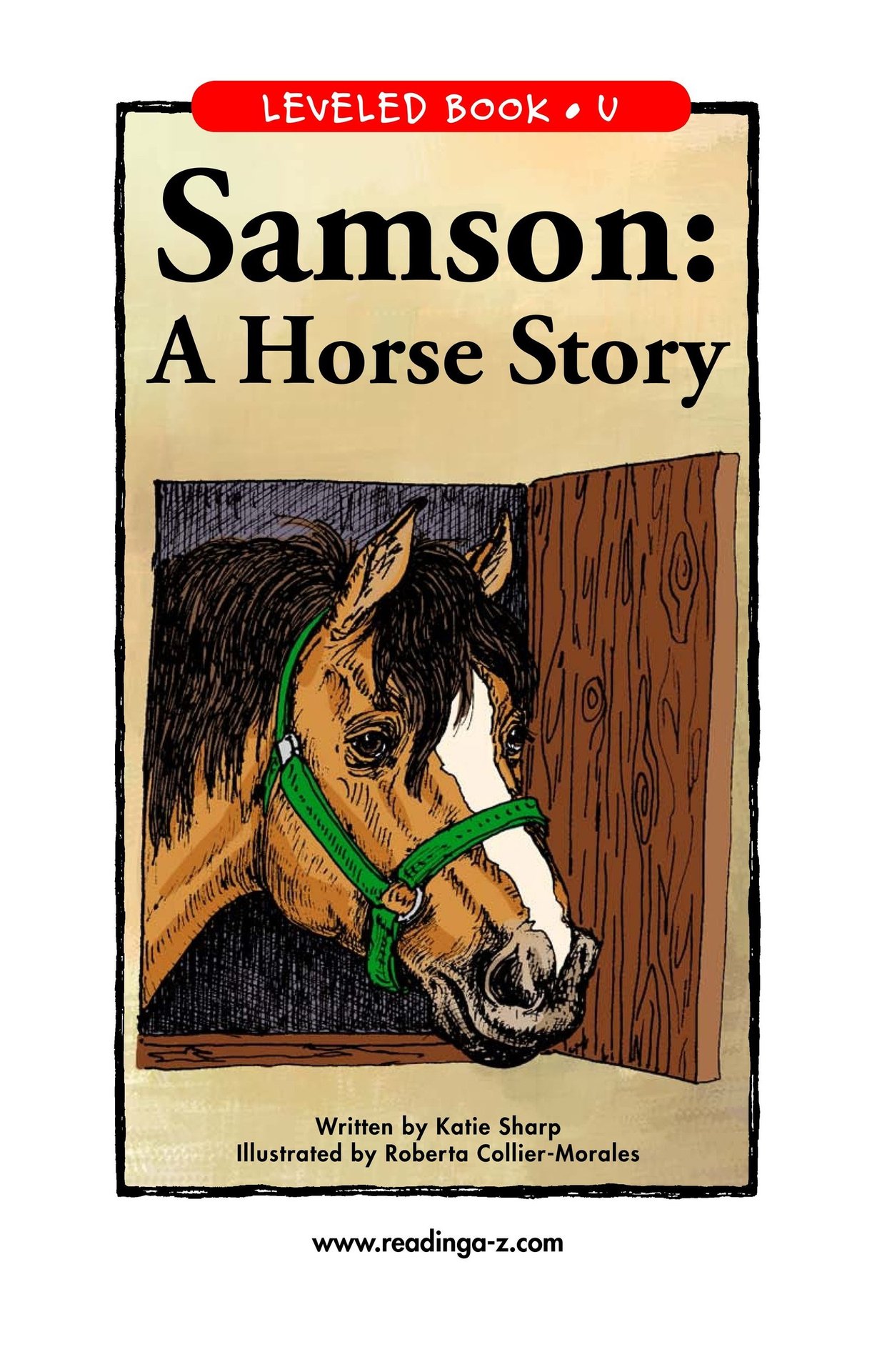 Samson A Horse Story