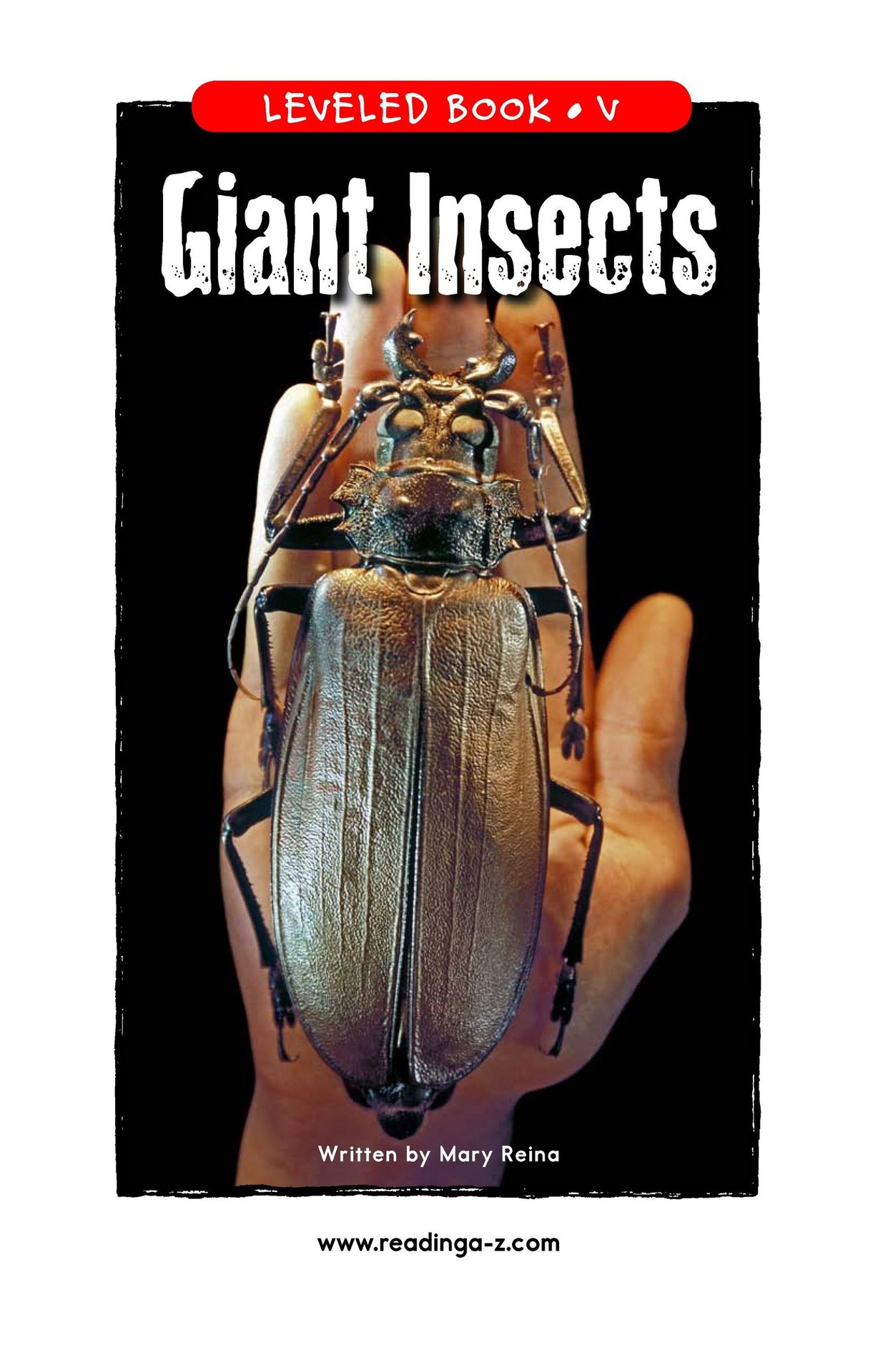 Giant Insects
