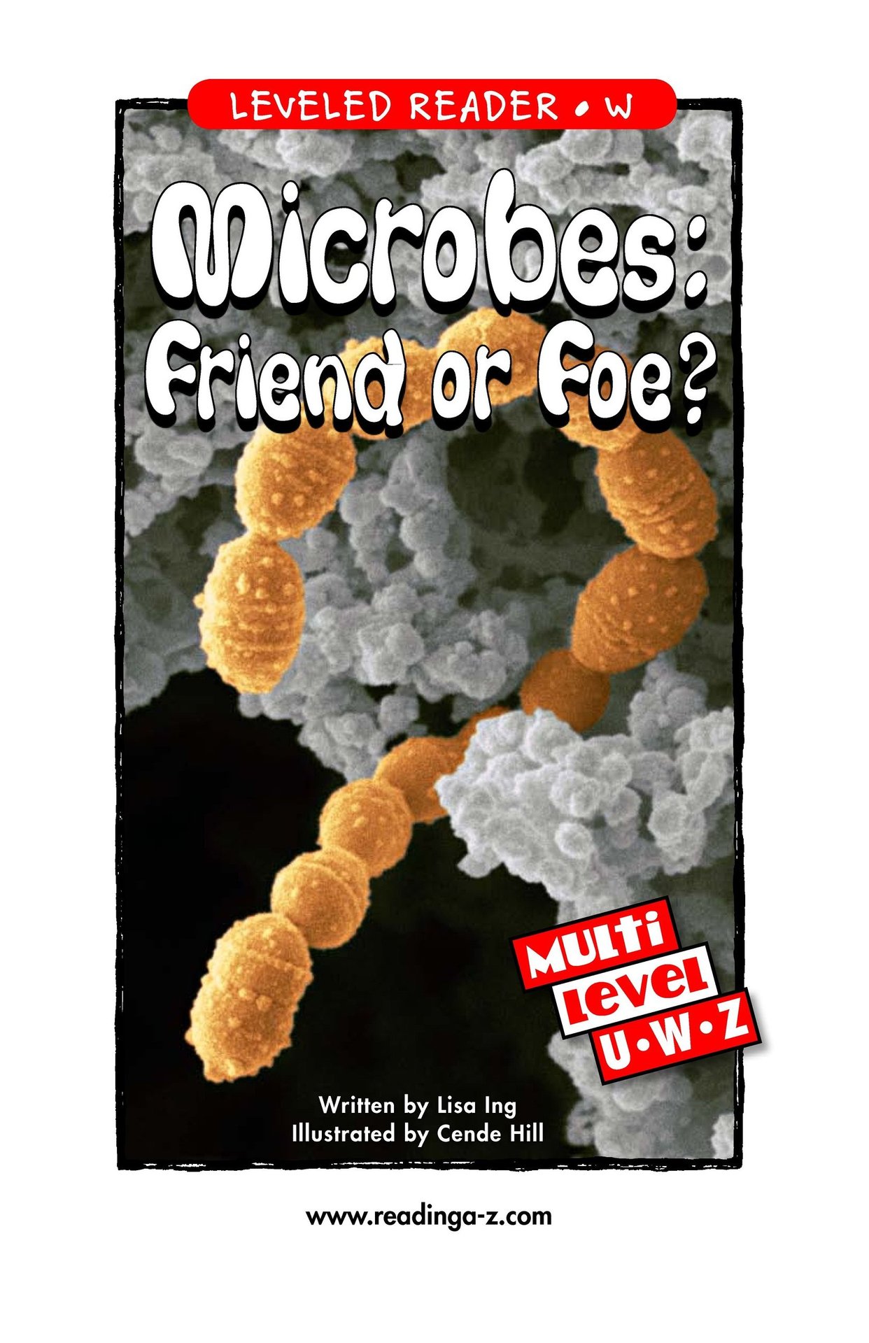 Microbes Friend or Foe