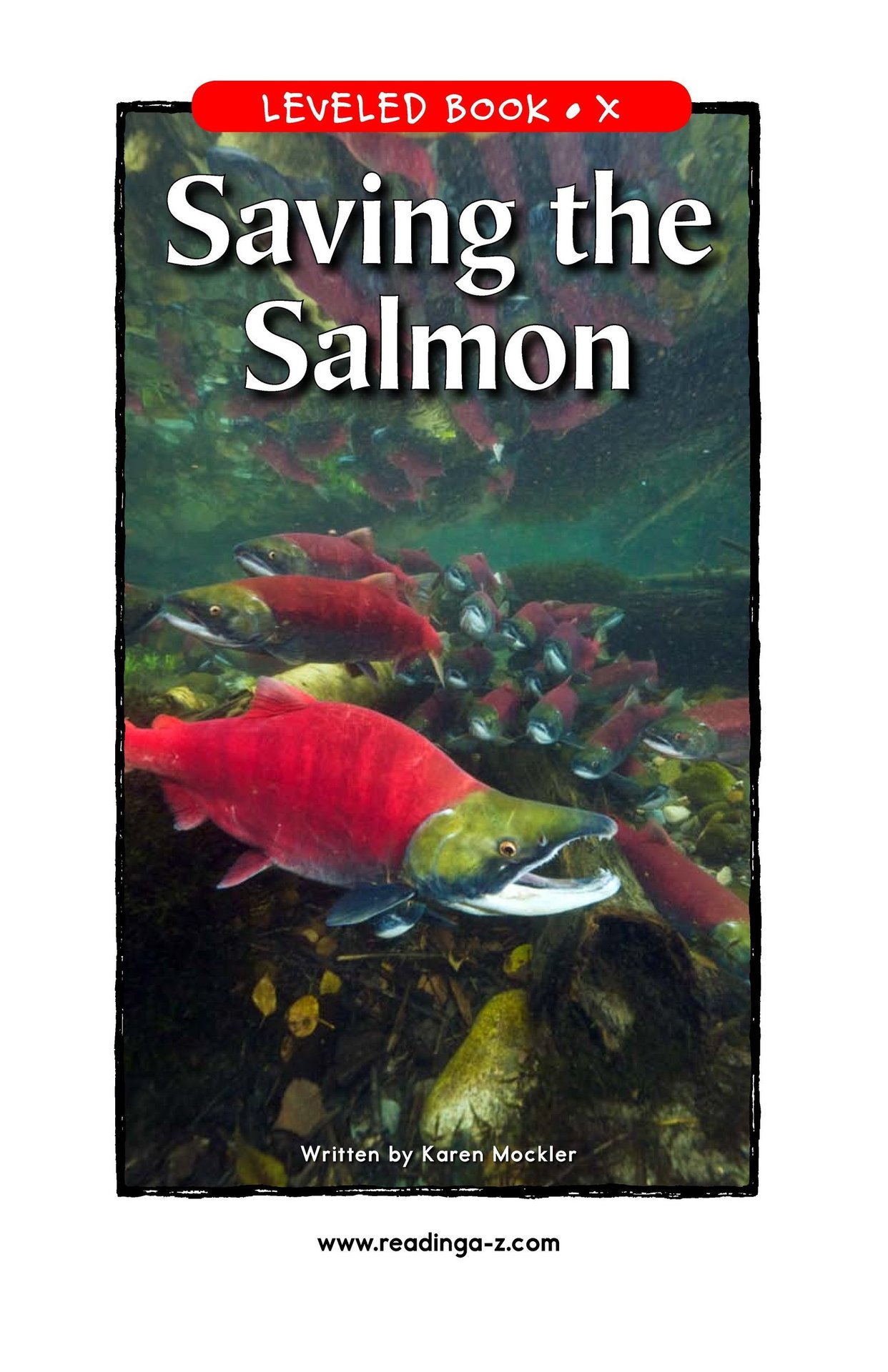 Saving the Salmon