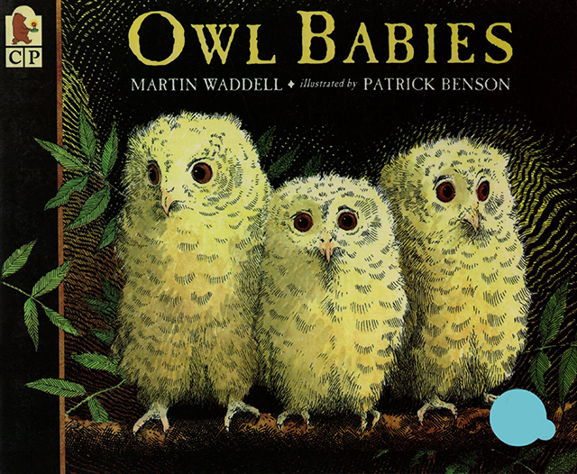 (43周)Owl Babies 
