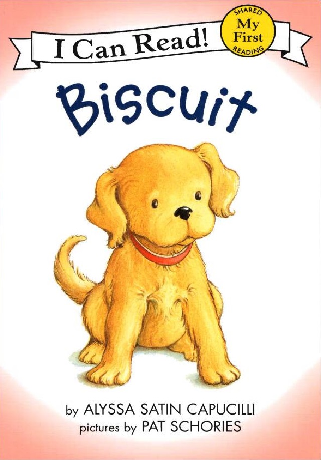 Biscuit