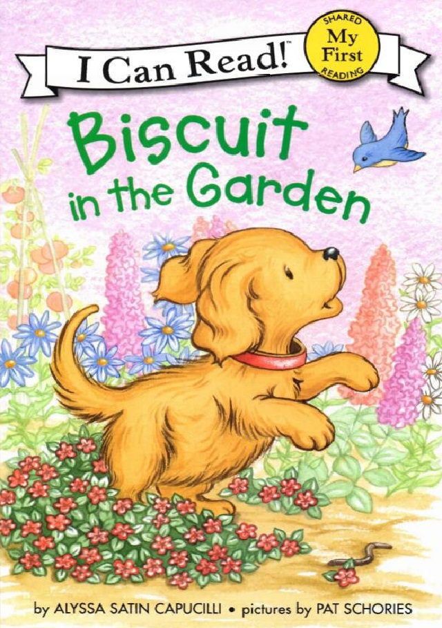 Biscuit in the Garden