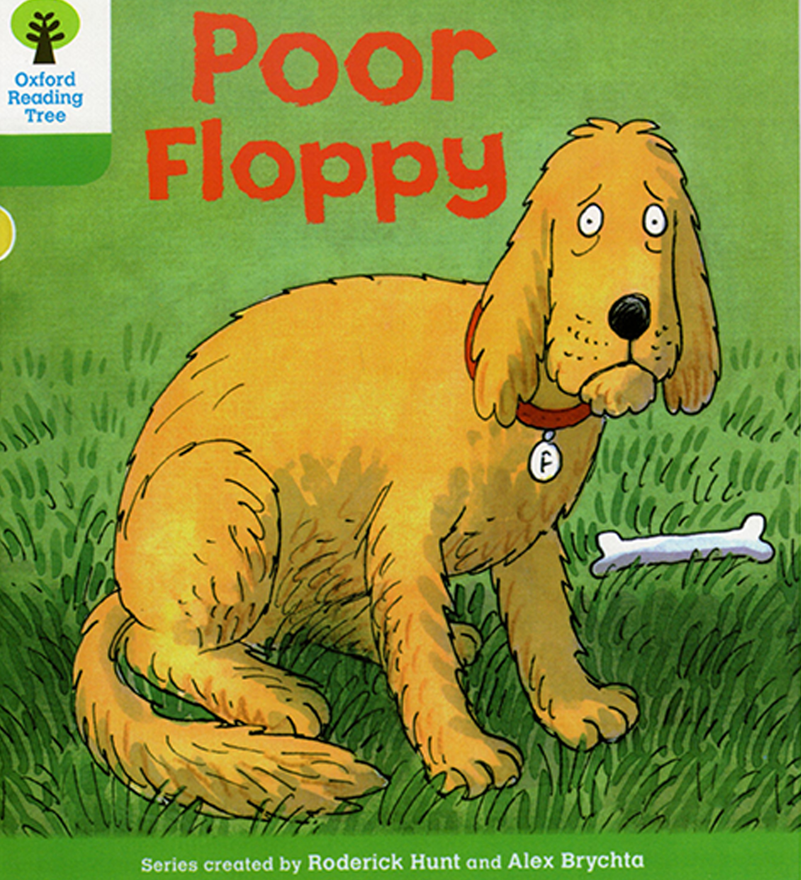 Poor Floppy