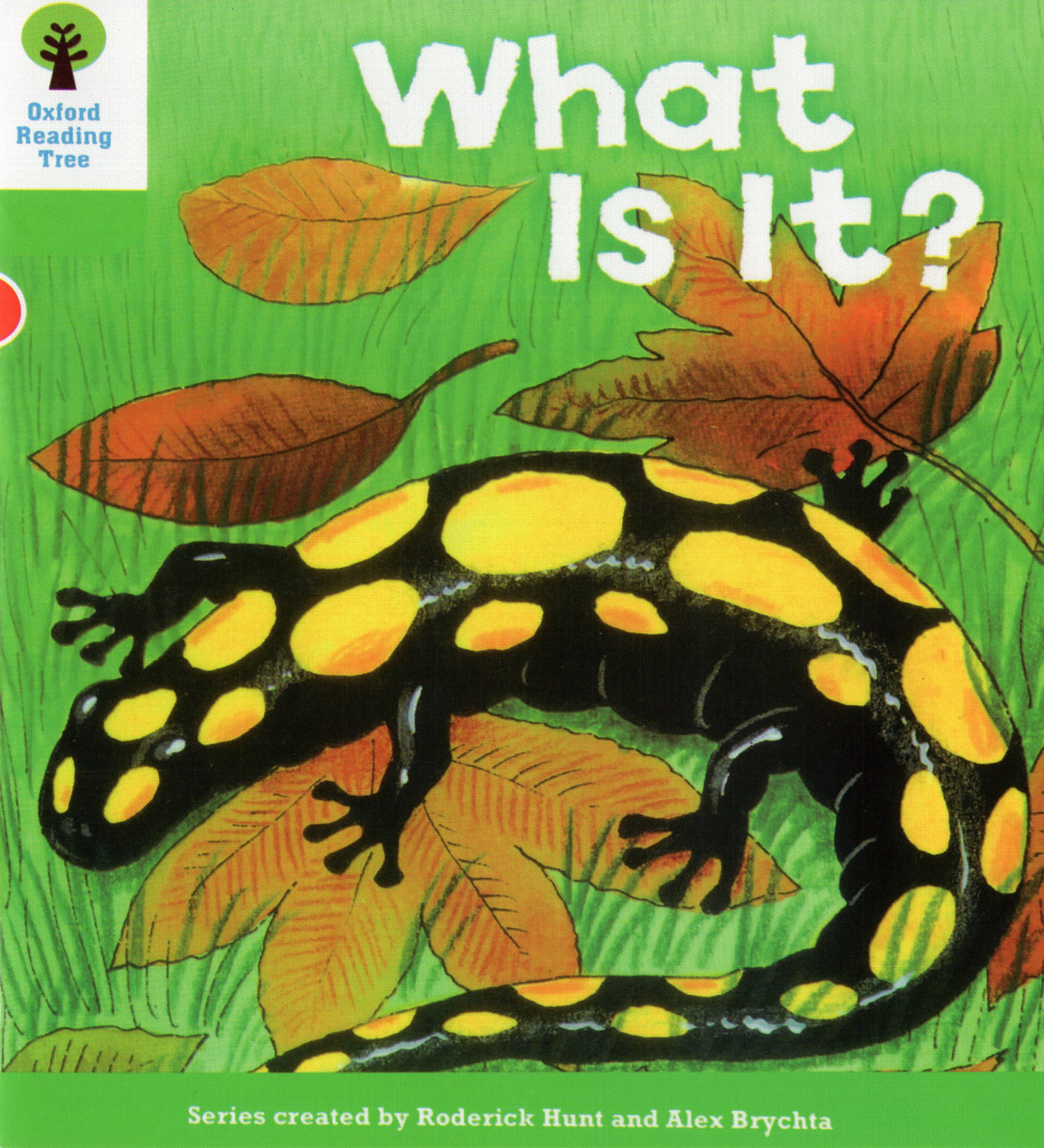 What is it?