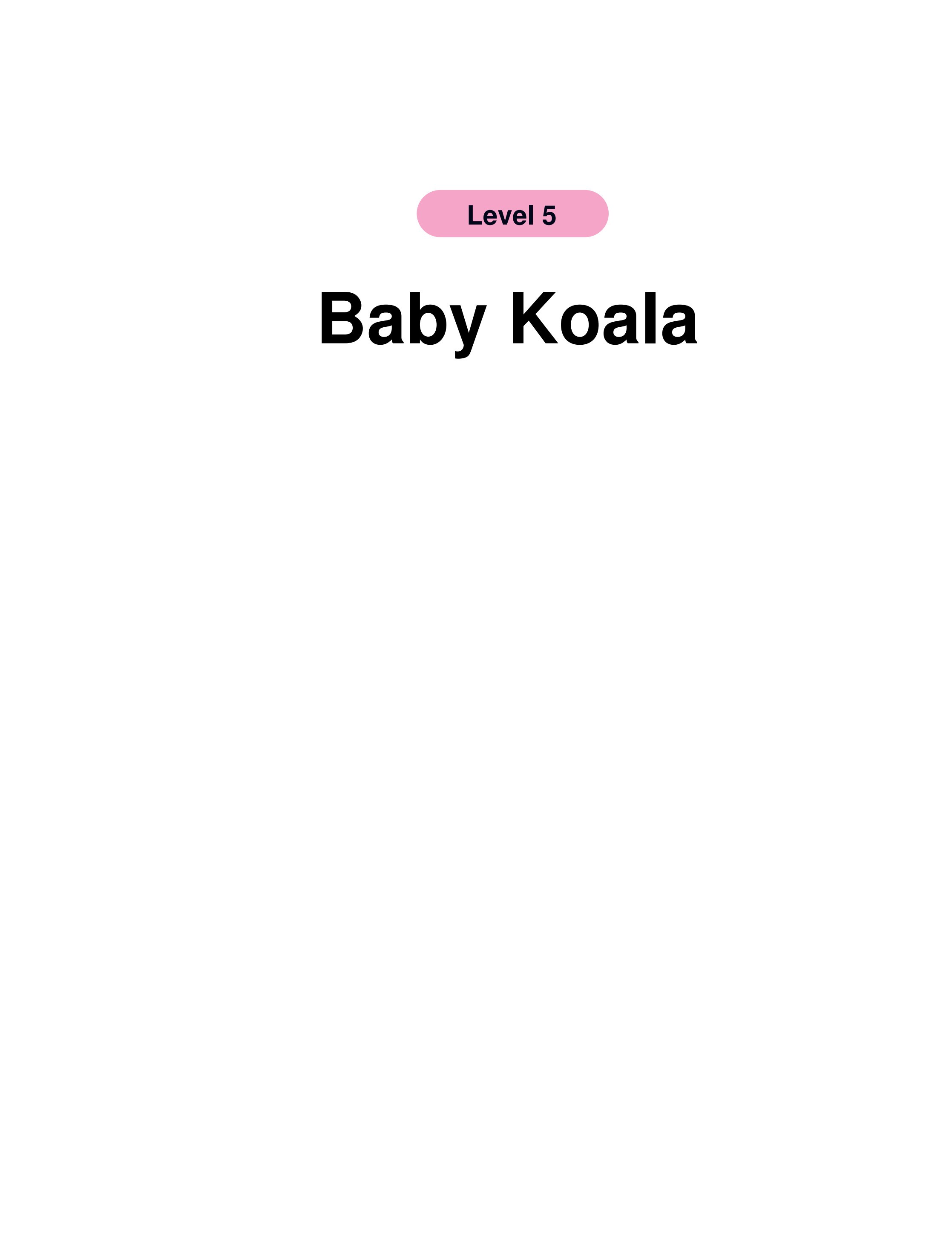 Baby Koala