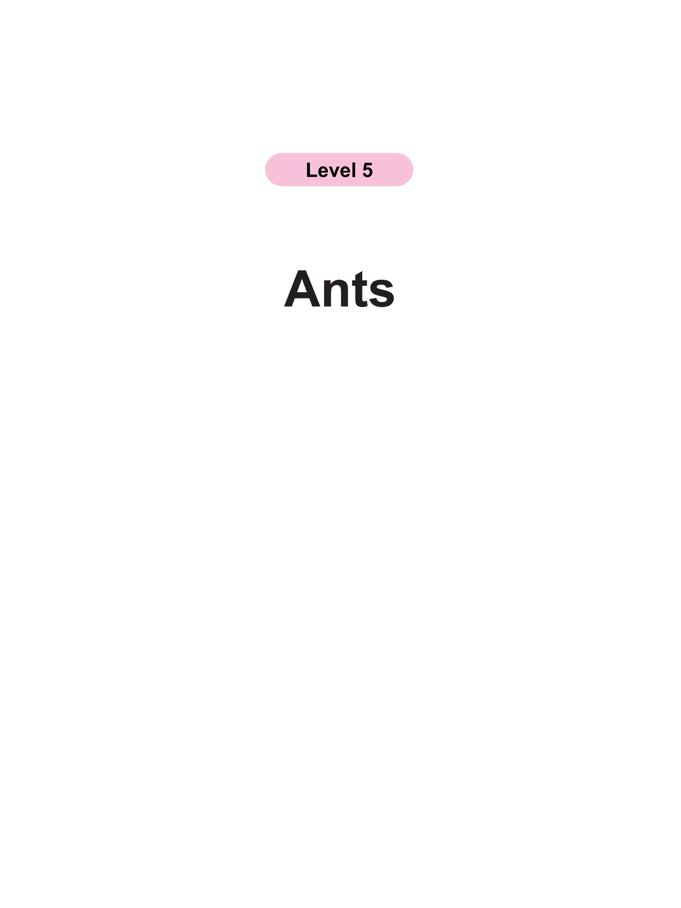 Ants