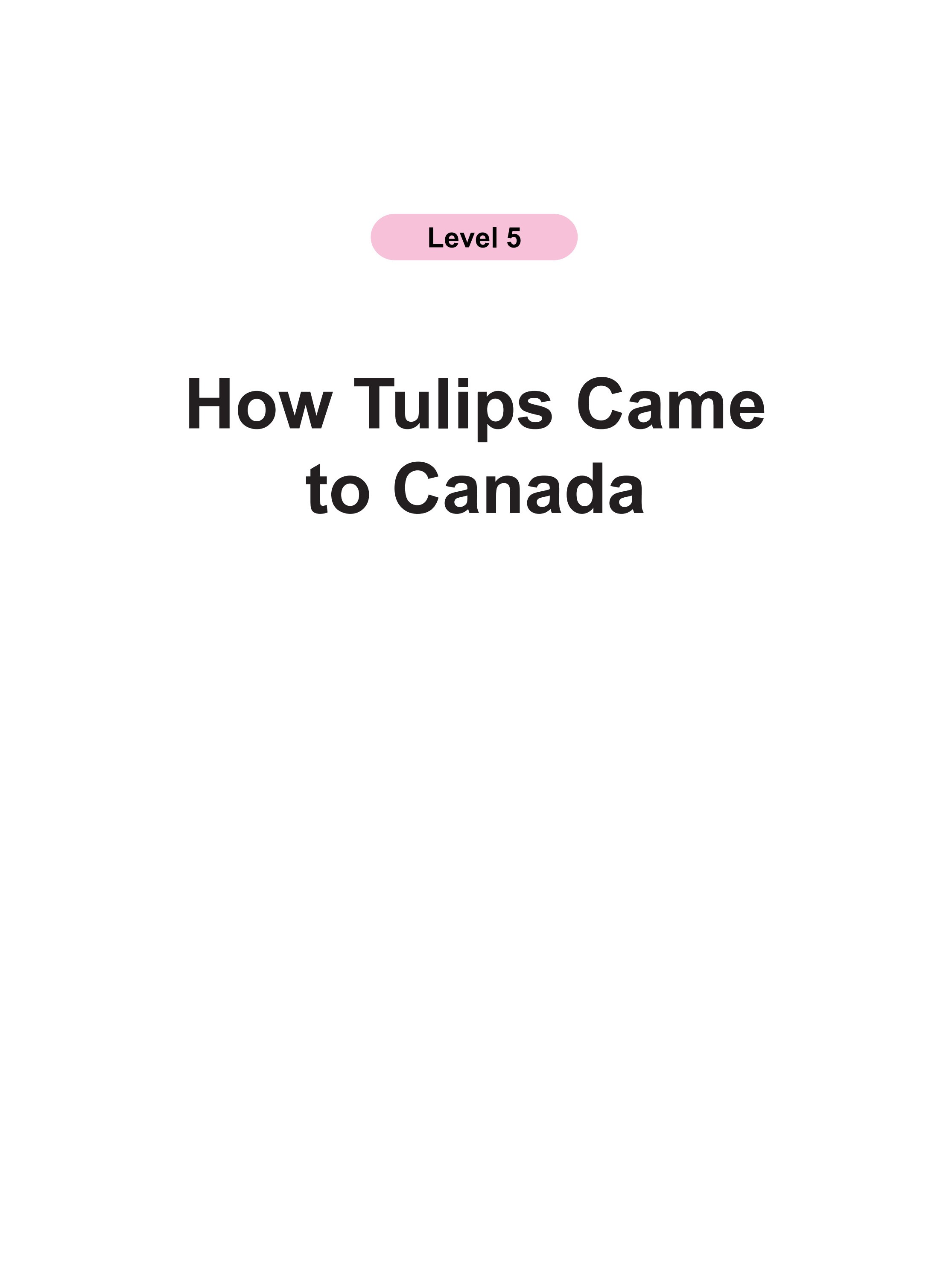 How Tulips Came to Canada