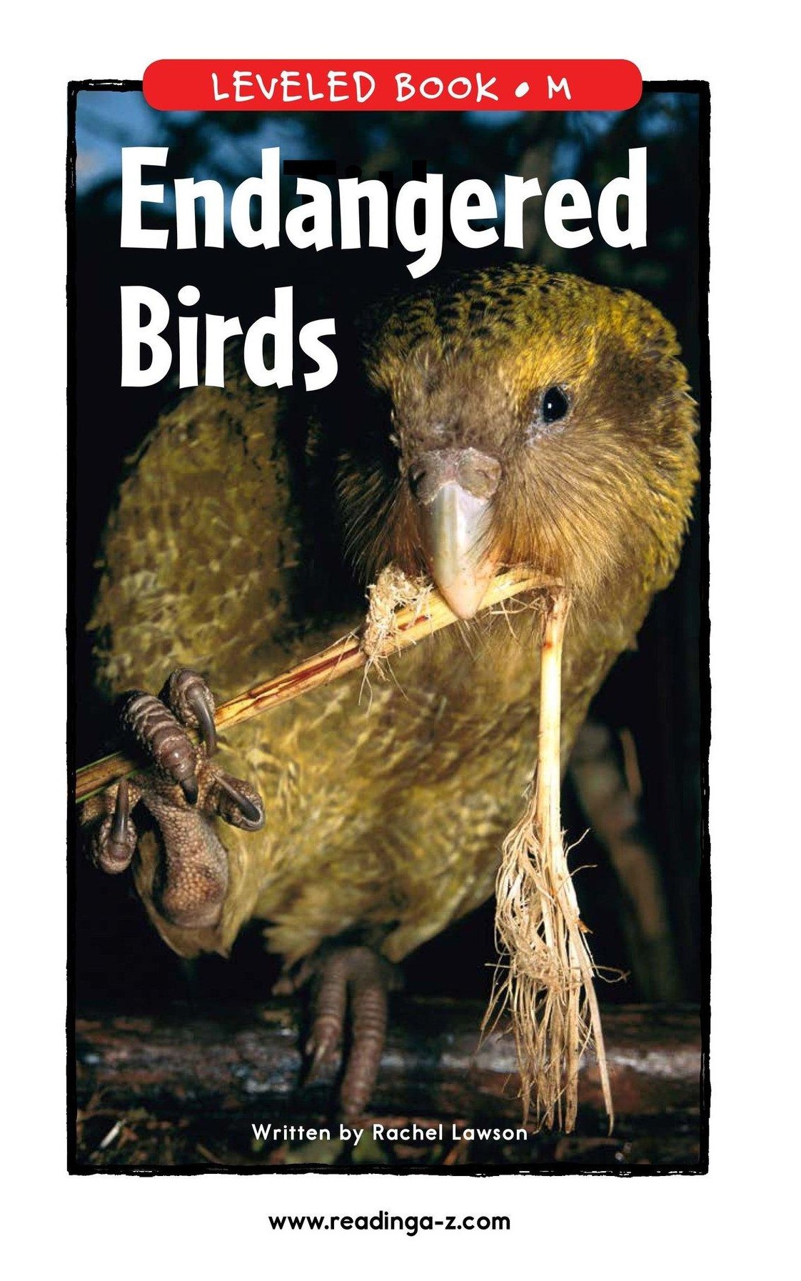 Endangered Birds_