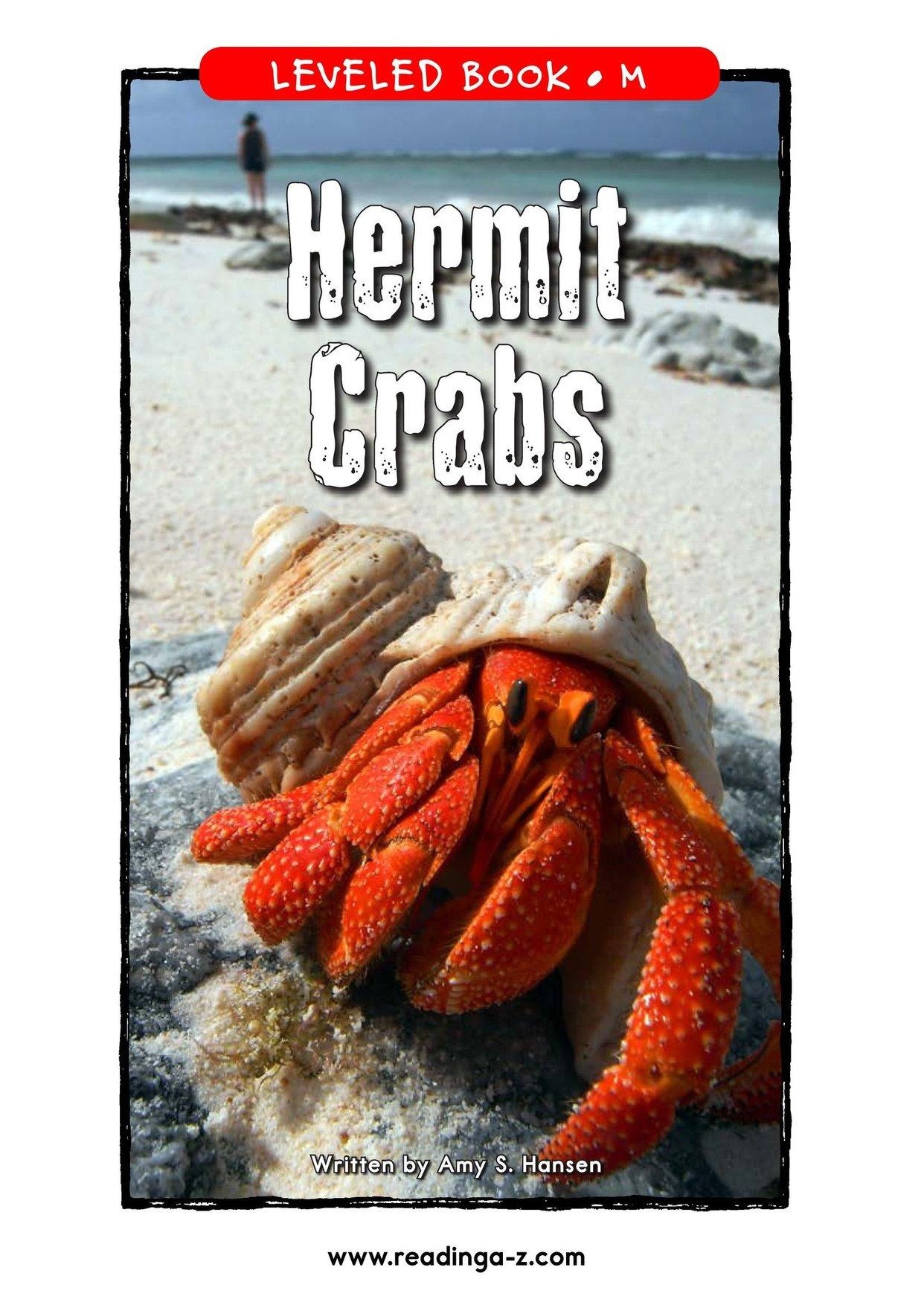 Hermit Crabs_