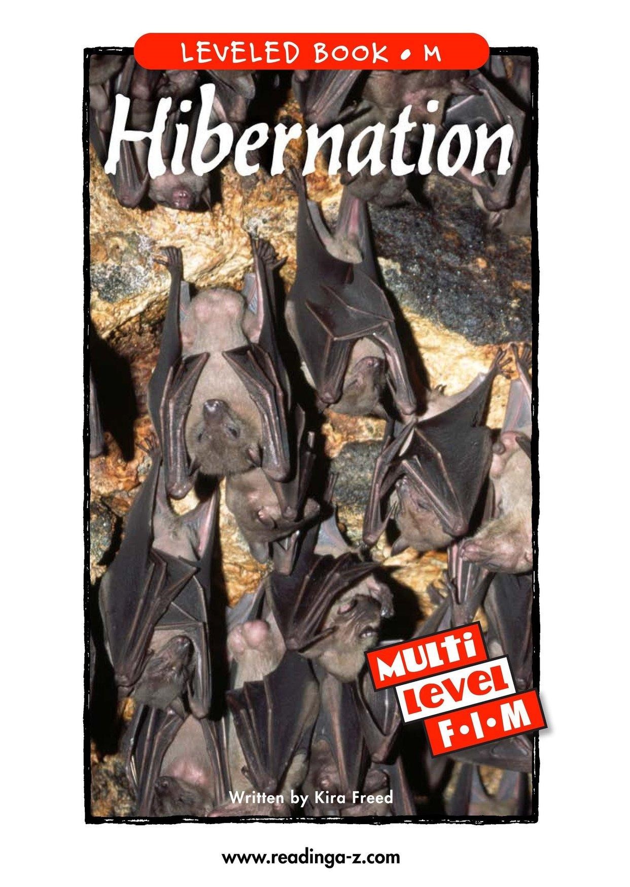 Hibernation