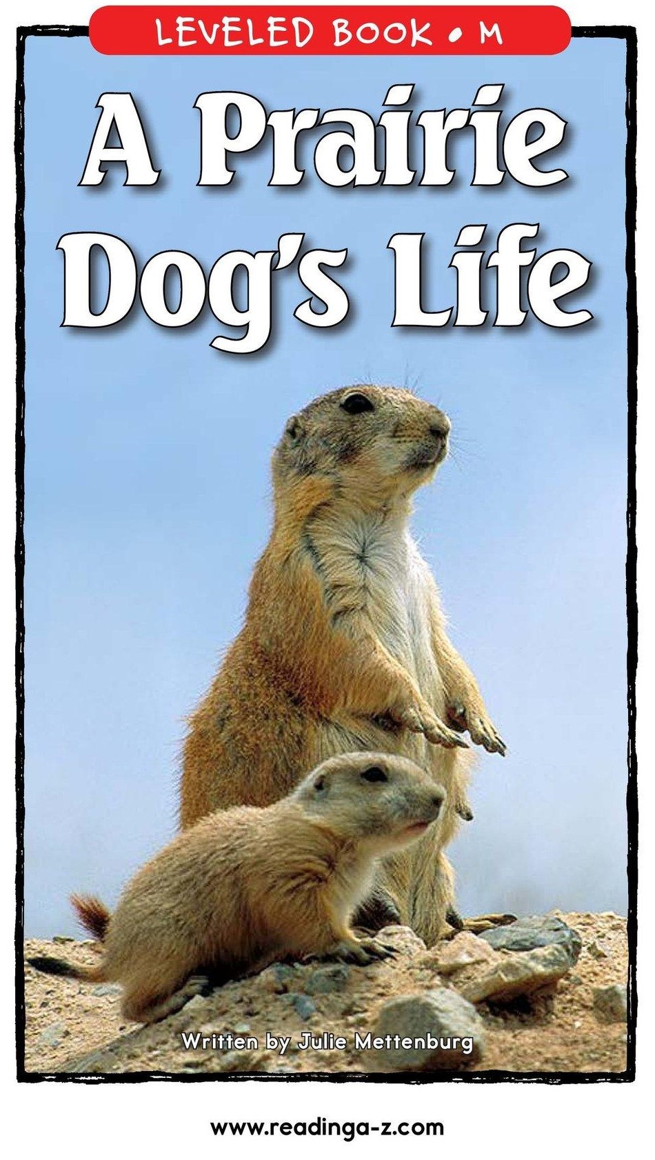 A Prairie  Dog's Life