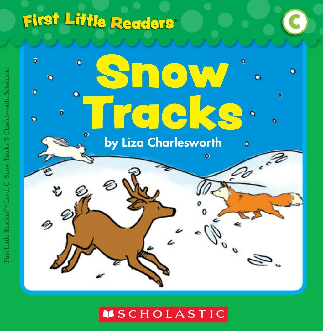 Snow Tracks