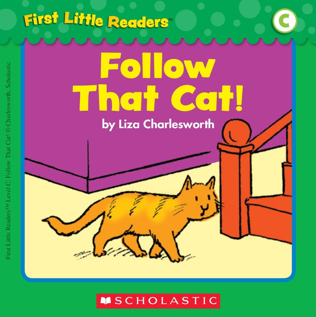 Follow That Cat