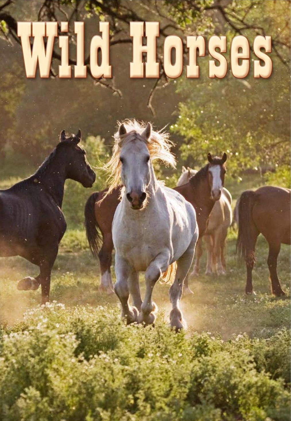 Wild Horses