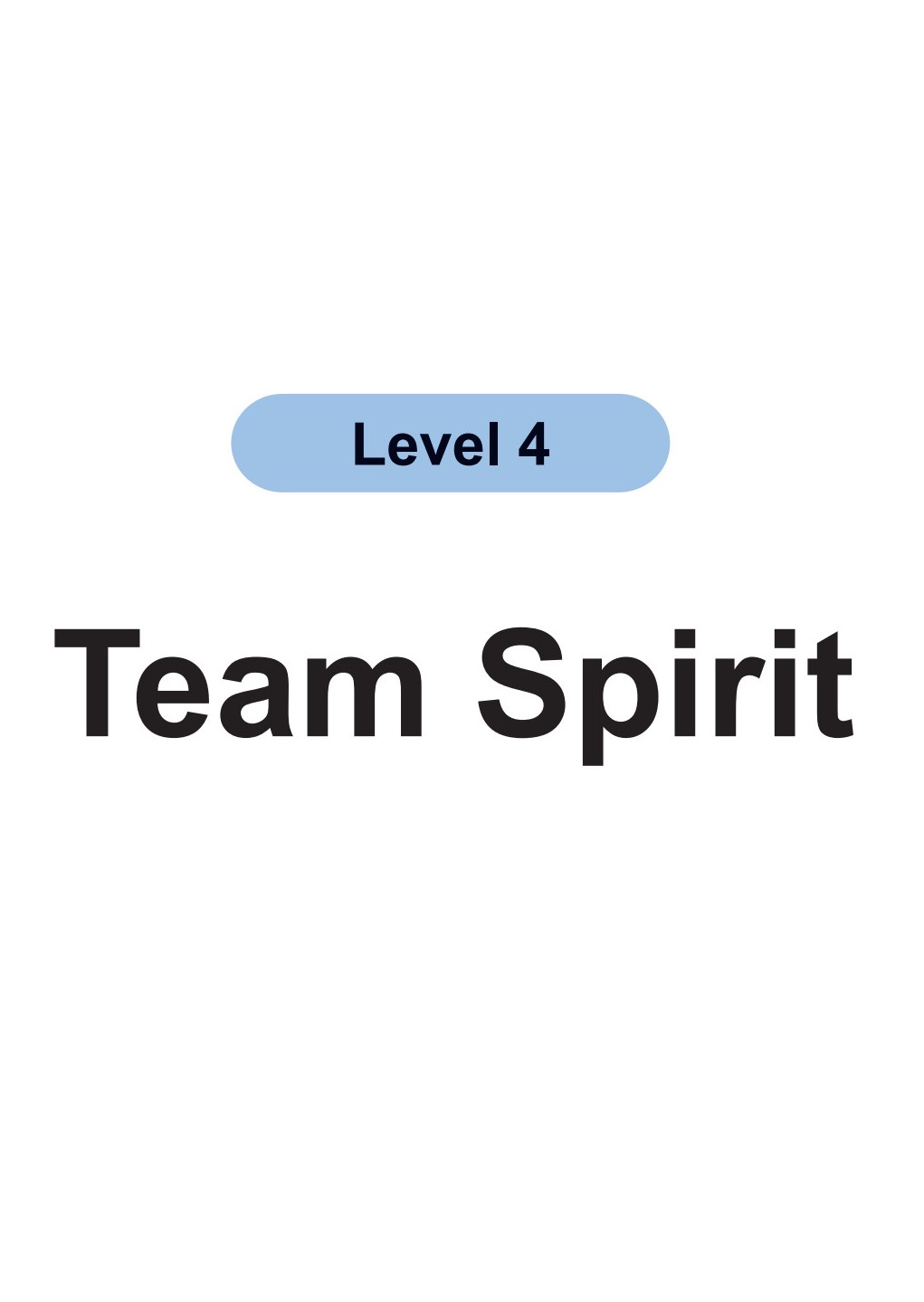 Team Spirit
