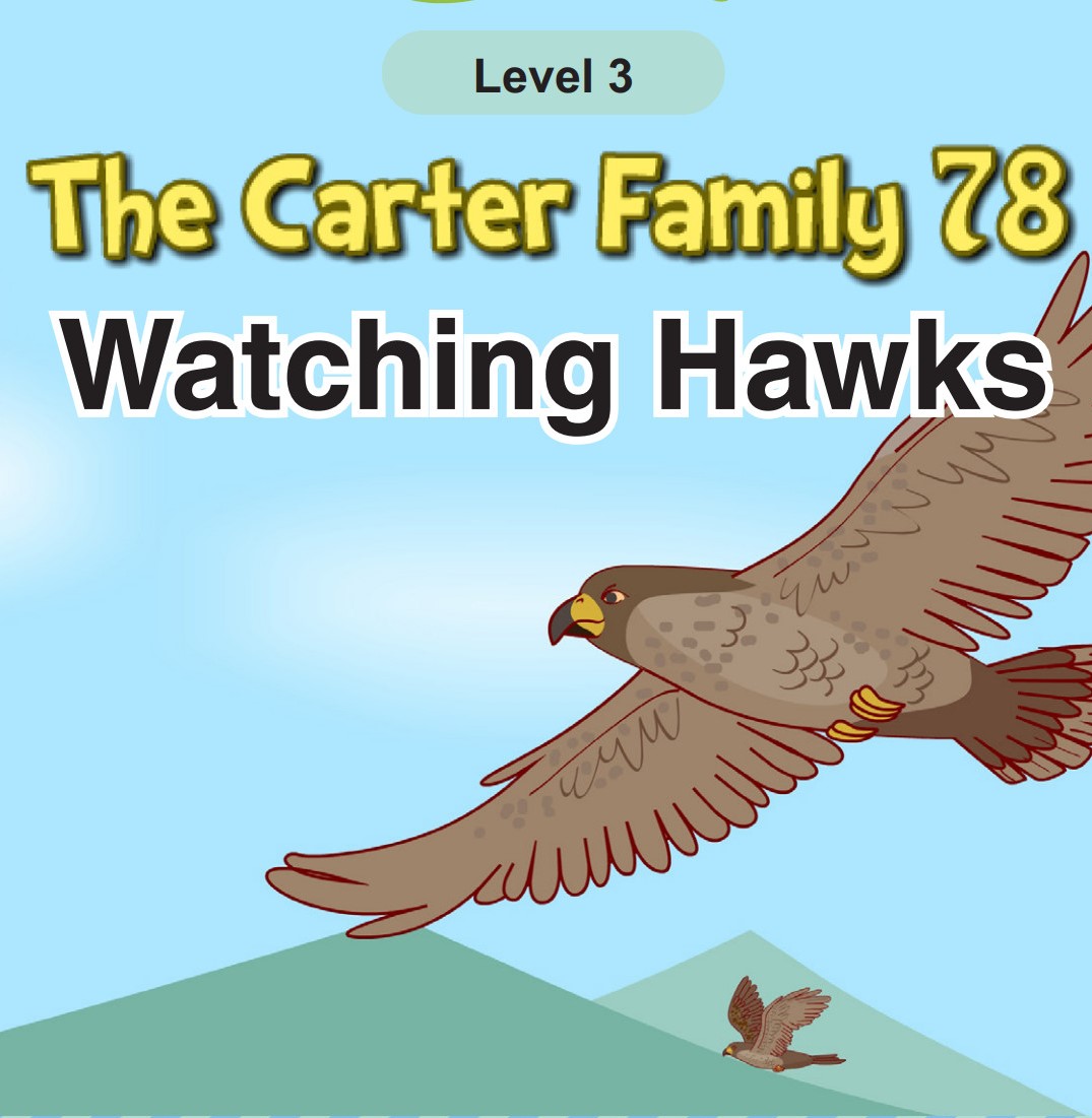Watching Hawks
