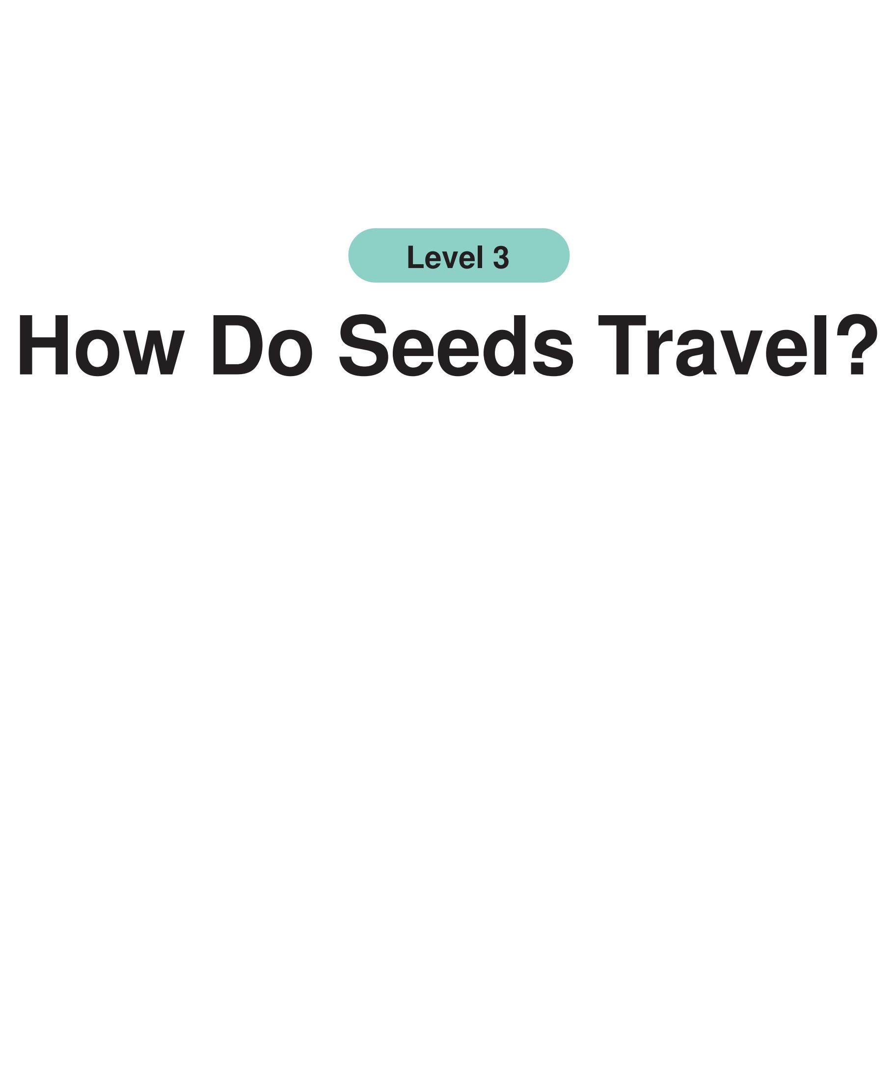 How Do Seeds Travel?