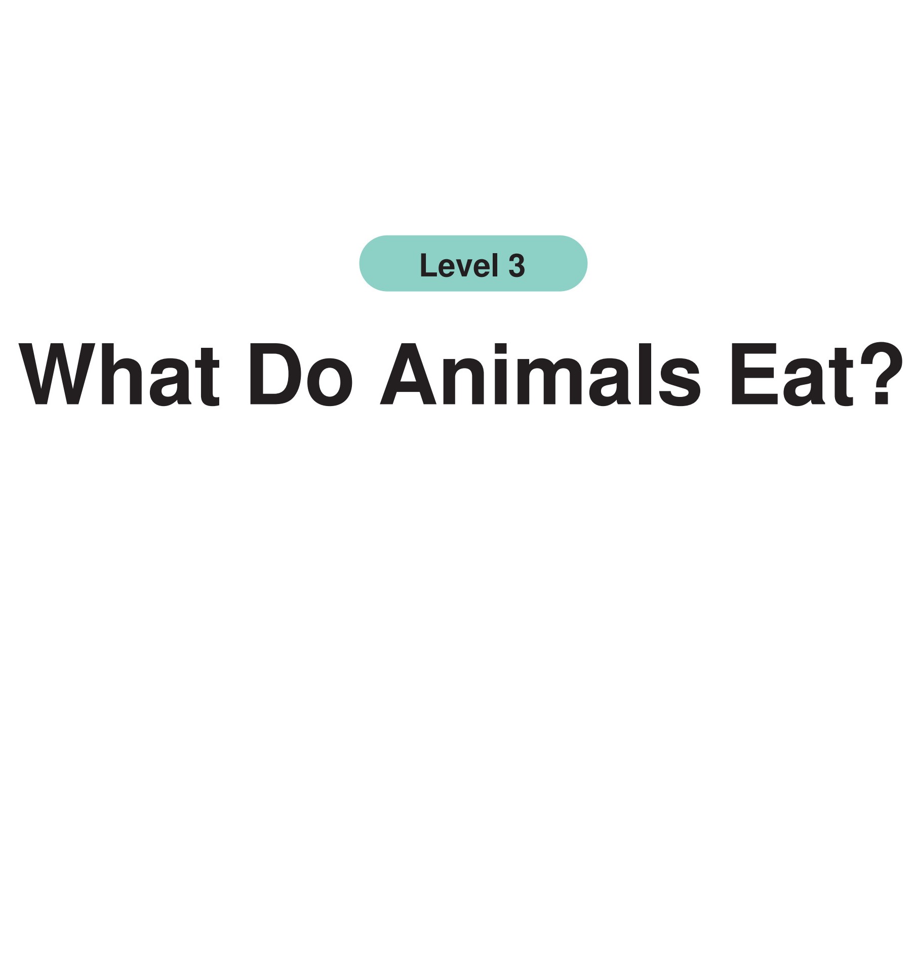 What Do Animals Eat?