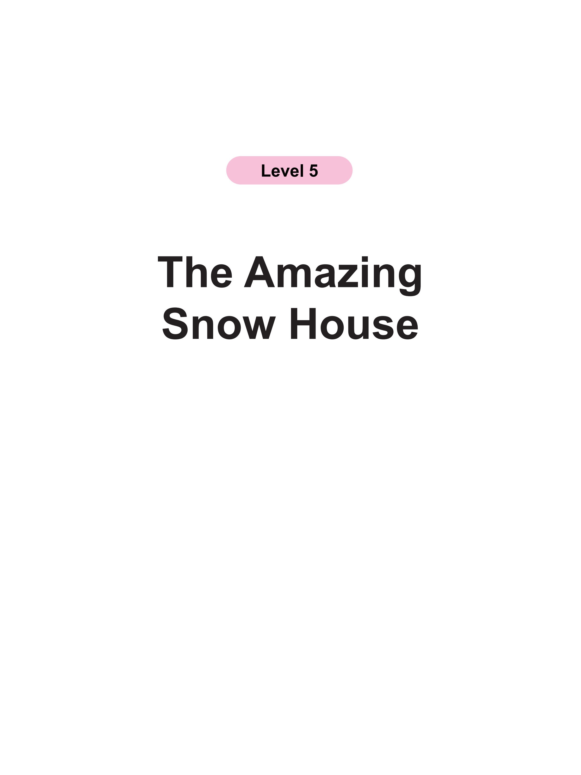 The Amazing Snow House