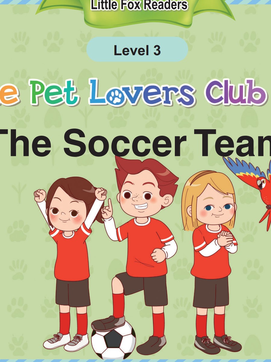 The Soccer Team