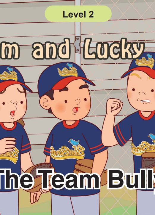 The Team Bully