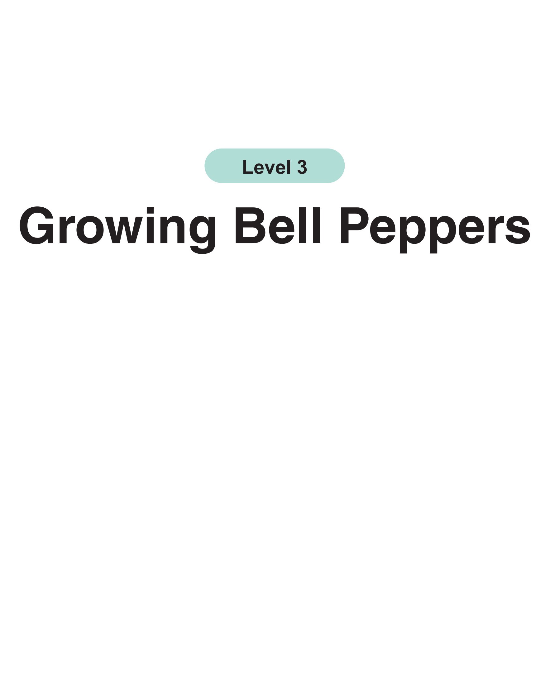 Growing Bell Peppers