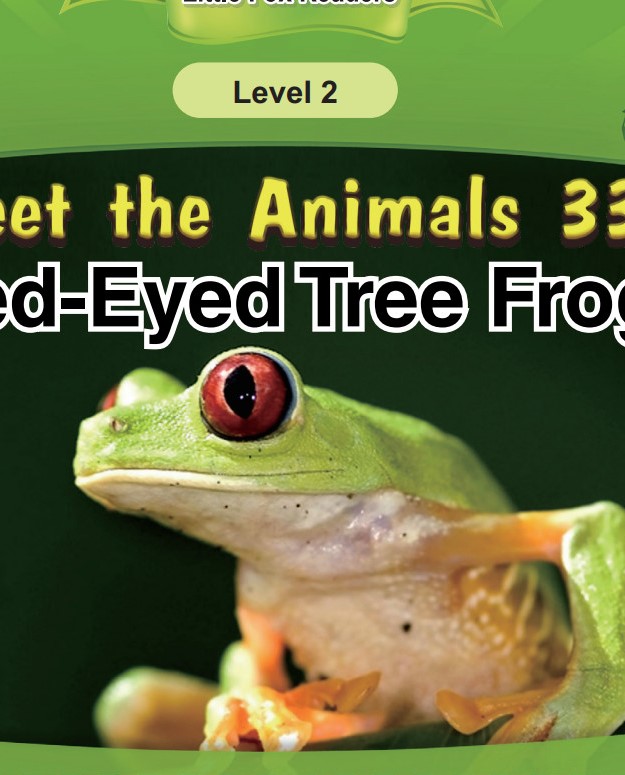 Red-Eyed Tree Frog