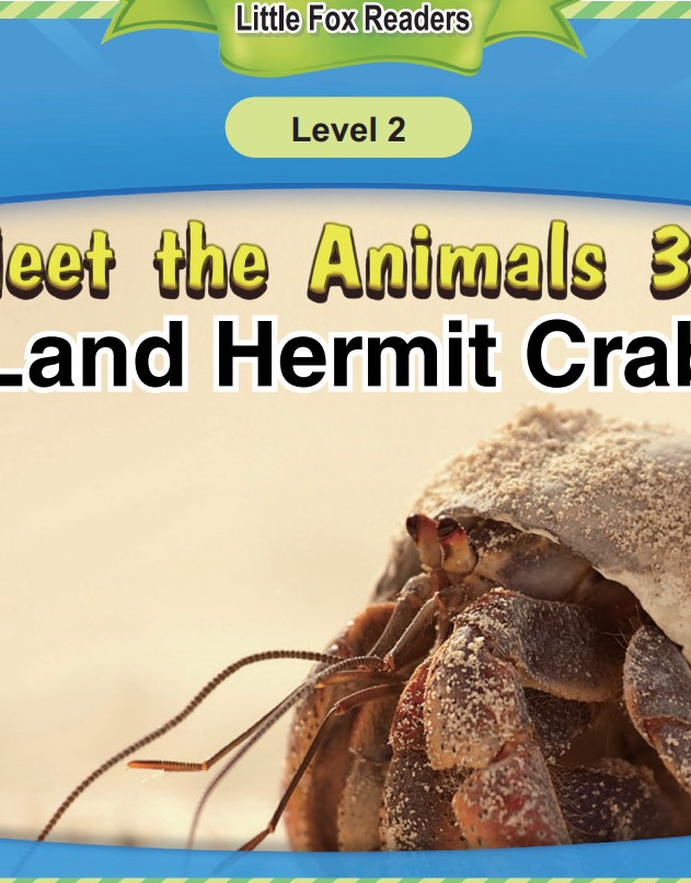 Land Hermit Crab