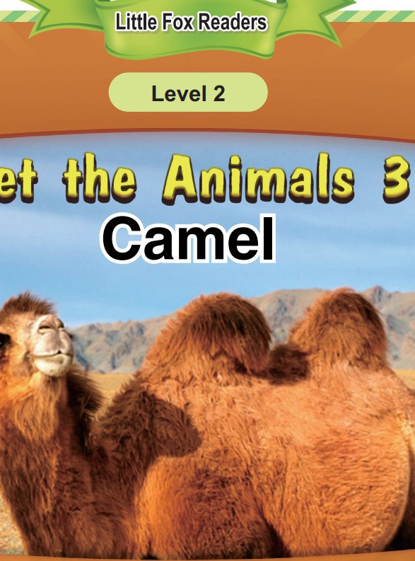Camel
